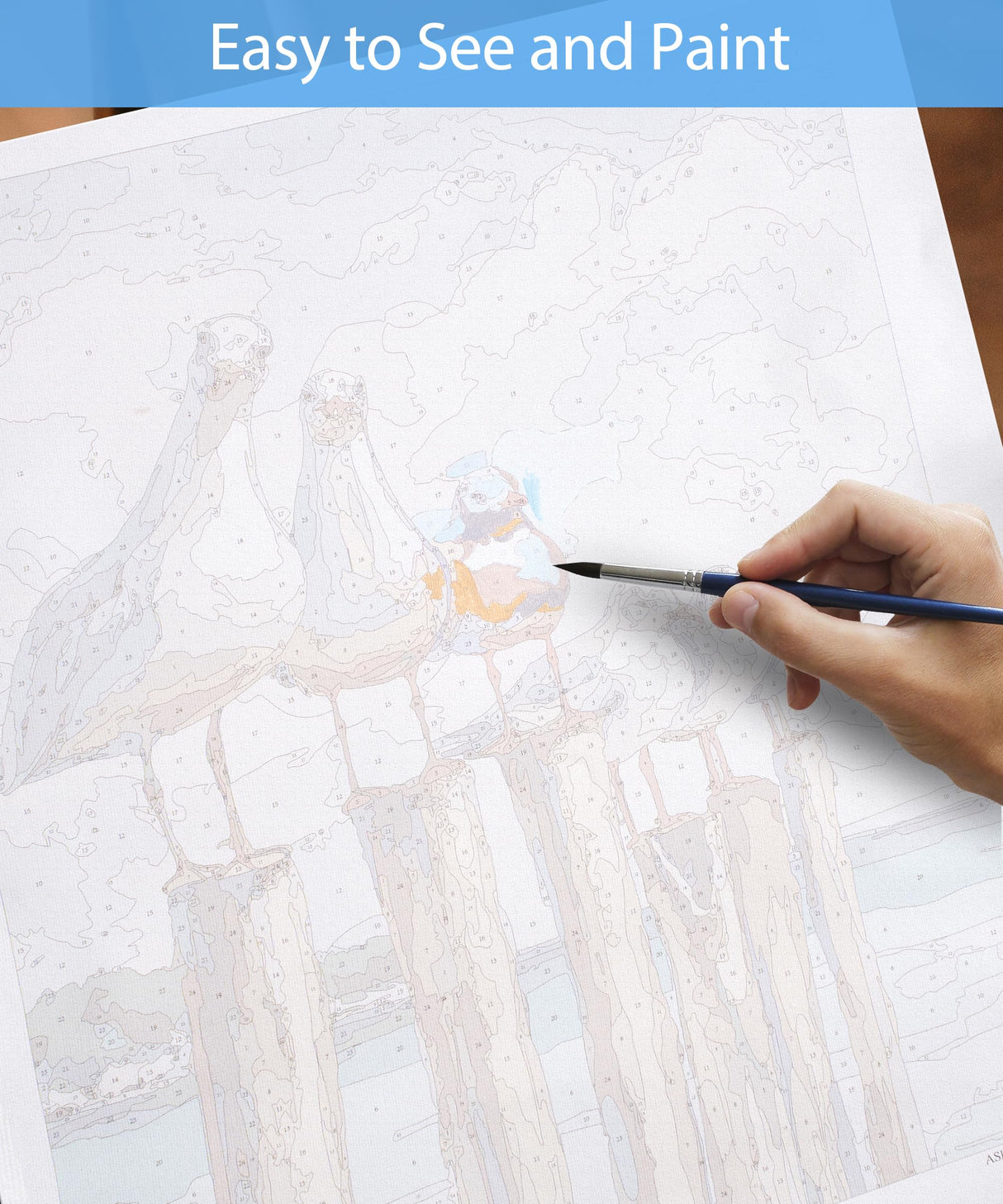 SUMGAR DIY Paint by Numbers Kit for Adults Beginner Seagull Blue Sea Paint by Numbers 16x20 Inch Without Frame Realistic Acrylic Oil Painting Drawing Craft Work Set with Brushes Christmas Gift SUMGAR