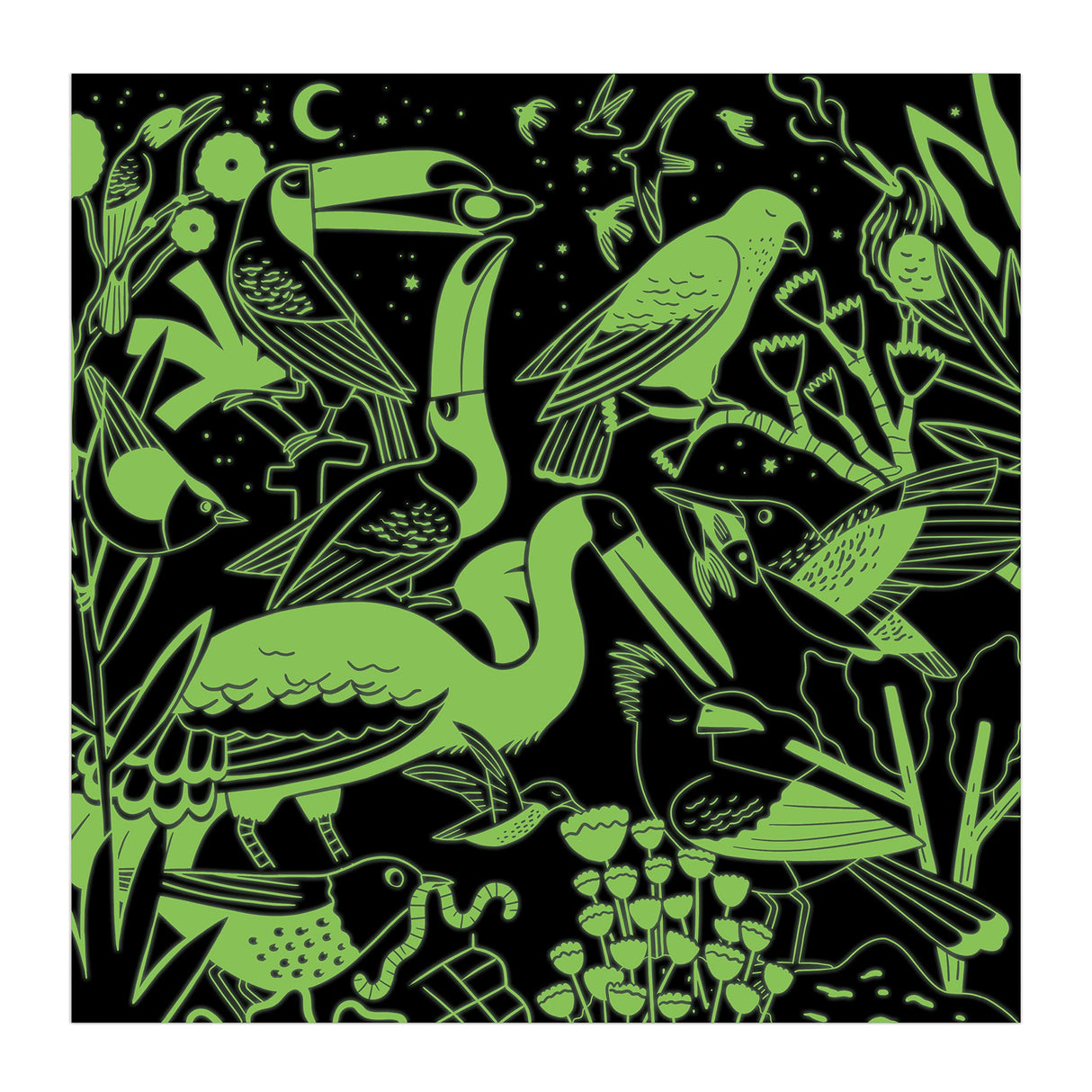 Mudpuppy Bird Illuminated – 500 Piece Glow in The Dark Puzzle with Colorful Scene of Birds in The Jungle and Hidden Puzzle Details in The Dark for Children Ages 8 and Up Mudpuppy