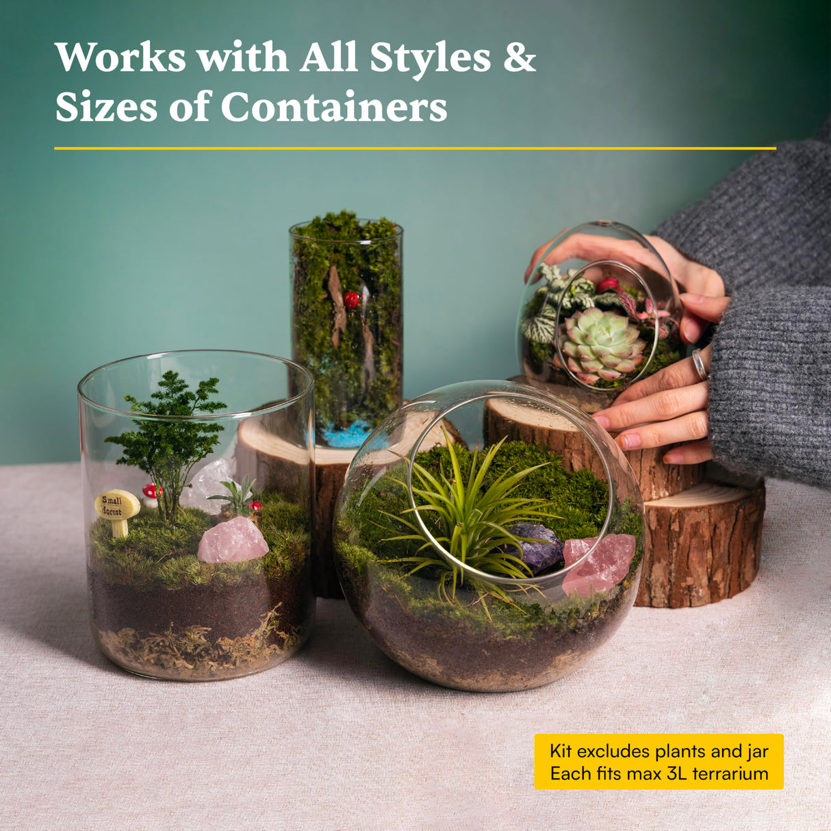 DIY Crystal Terrarium Kit– All-in-One Starter Kit with Moss, Pumice, Crystals, Coconut Coir, Gardening Tools & Decor | Healing Gift for Stress Relief | Plants & Crystal Lovers | Desk & Office Decor Terra Tales