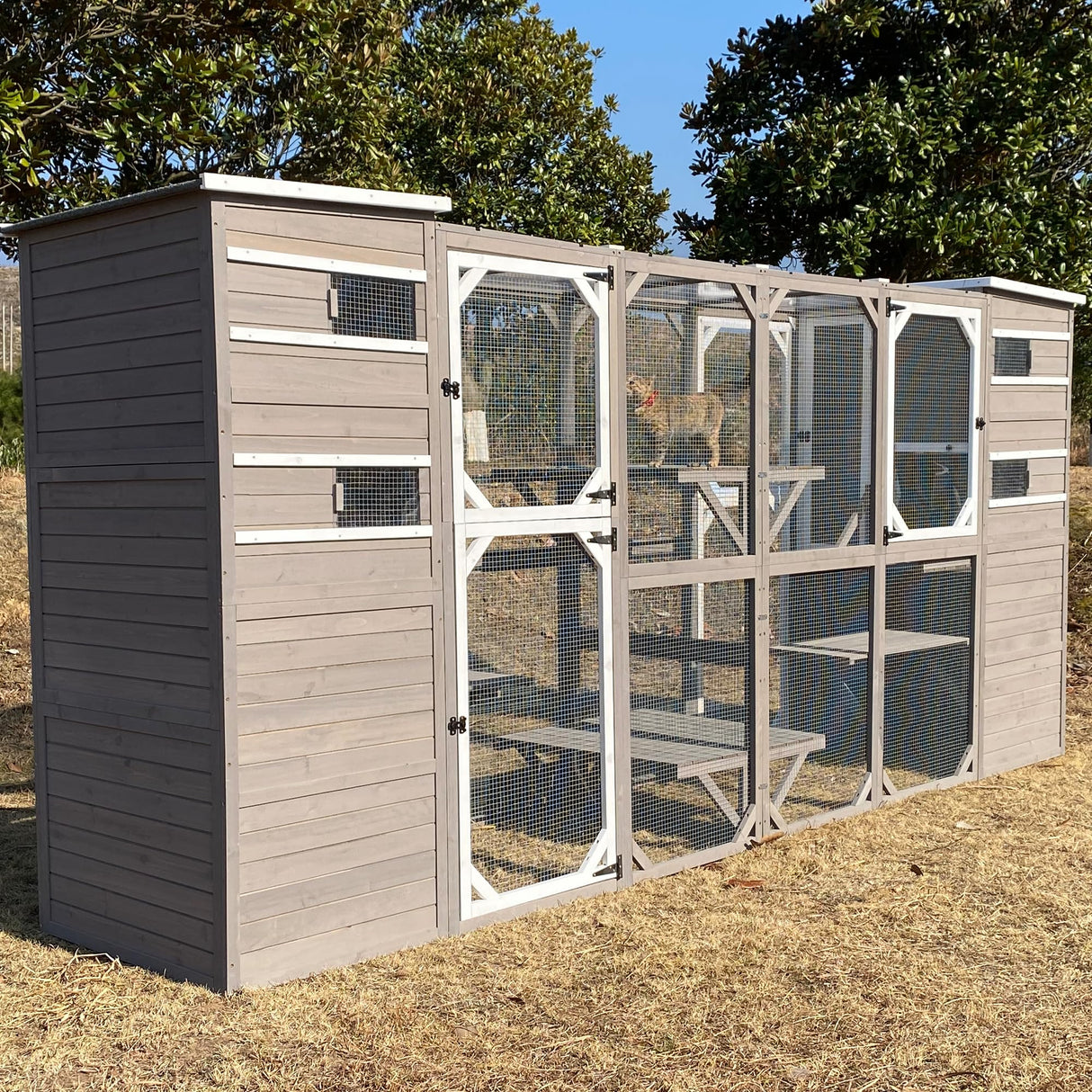 Gowoodhut Large Outdoor Catio Cat Enclosures - Wooden Cat House Weatherproof with Multi Platforms & Weather Resistant Roof, Catio Combined- 71" H 77" L Gowoodhut