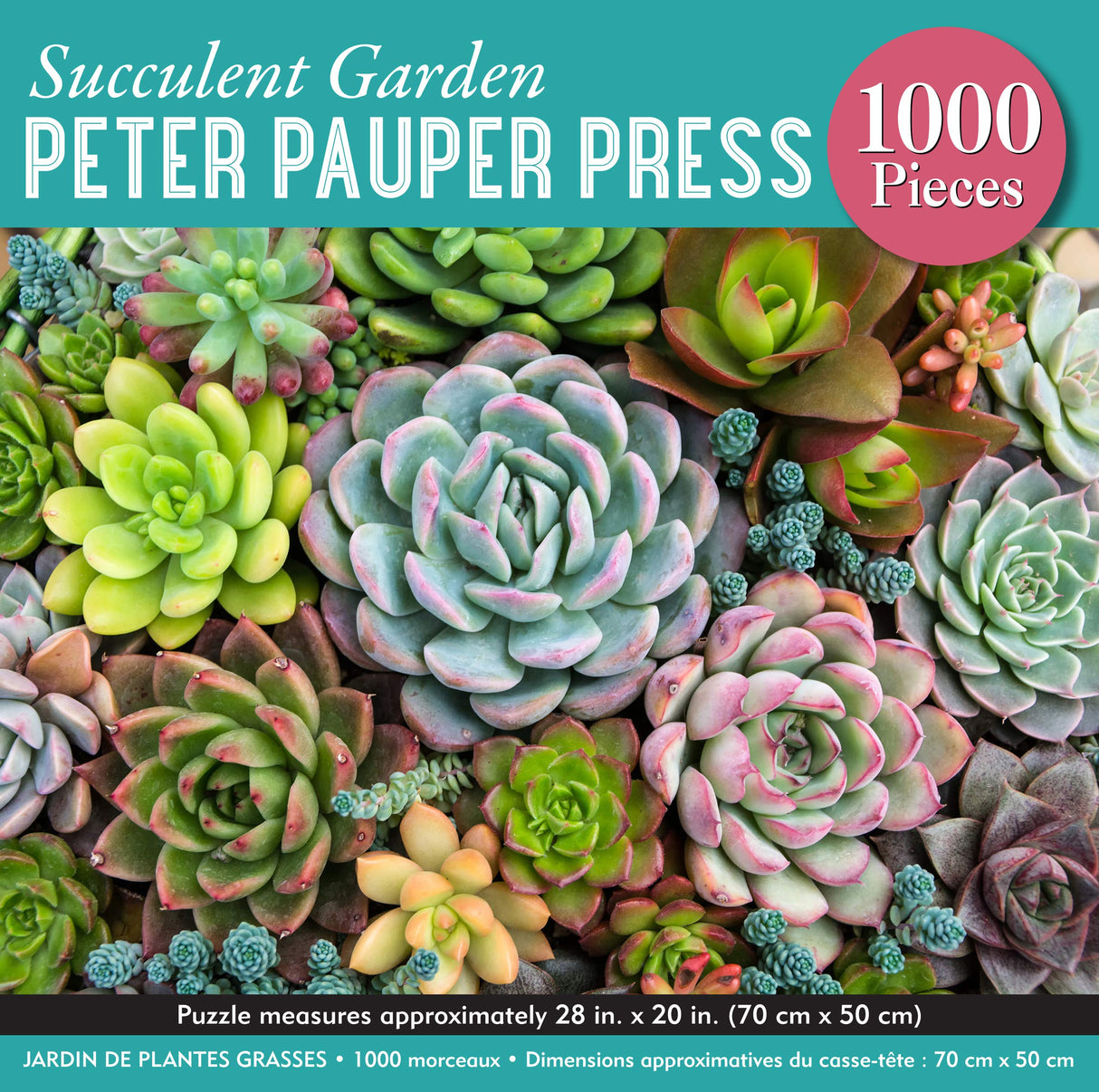 PETER PAUPER PRESS Succulent Garden 1000 Piece Jigsaw Puzzle PETER PAUPER PRESS