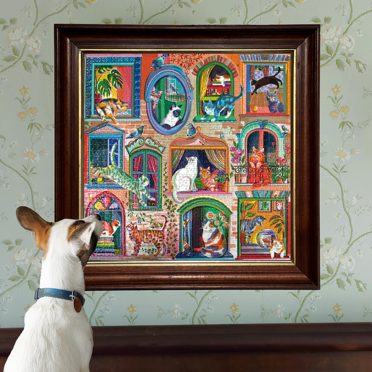 eeBoo Piece & Love: Cats in Window - 1000 Piece Puzzle - Adult Square Jigsaw, 23x23, Includes Image Reference Insert, Glossy Pieces eeBoo