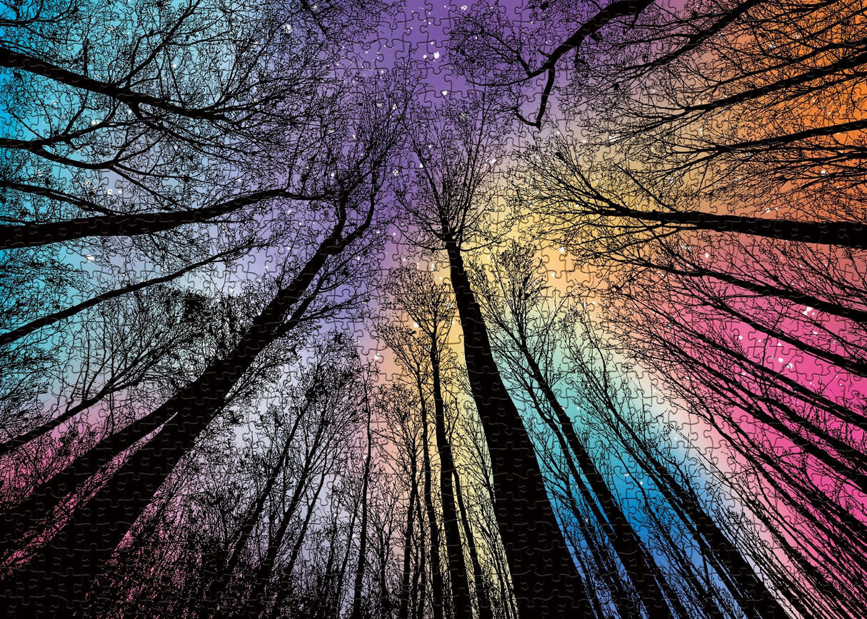 Hard Impossible Puzzles for Adults 1000 Piece, Challenging Difficult Puzzles for Adults, Colorful Gradient Jigsaw Puzzle for Adult BBOLDIN