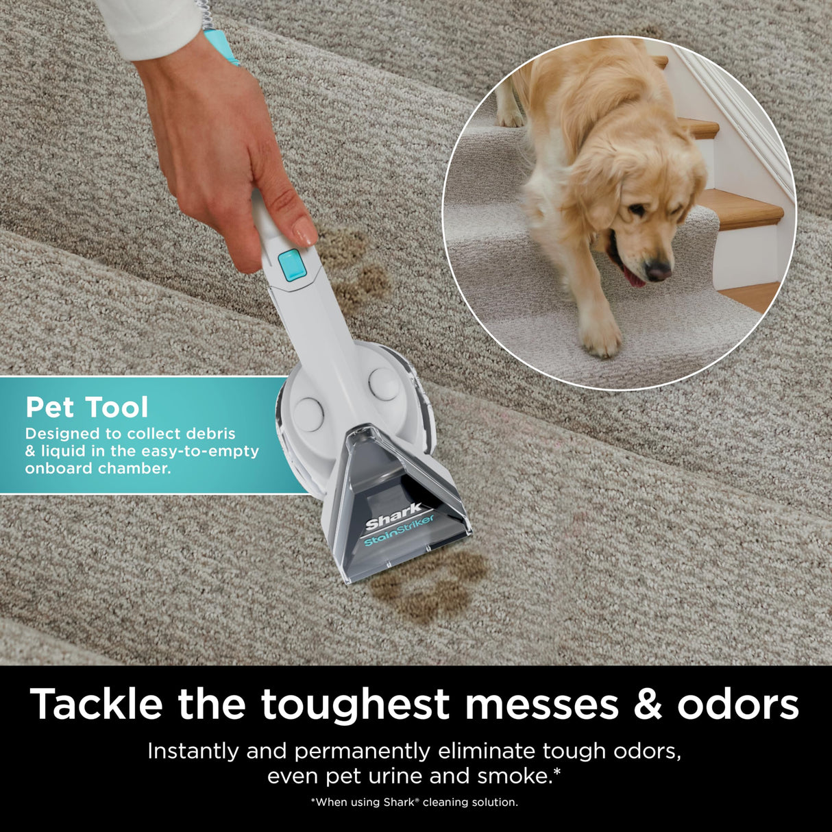 Shark StainStriker Portable Carpet, Upholstery & Area Rug Cleaner with Pet Mess Tool, Stain & Odor Remover, Perfect for Car Interiors, Includes 3 Cleaning Tools & Cleaning Solution, White, PX201 Shark