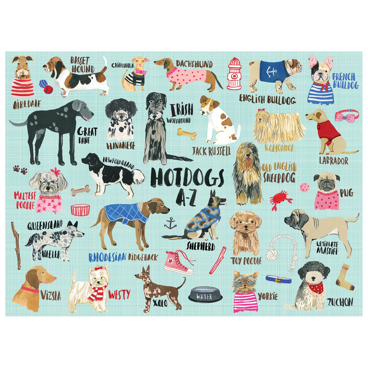 Galison Mudpuppy Hot Dogs A-Z Puzzle, 1000 Piece Dog Jigsaw Puzzle, 27”x20”, Perfect for Ages 8-99+, Family Puzzle to Celebrate Dogs, Illustrations of 26 Dog Breeds, Great Gift for Dog Lovers Galison