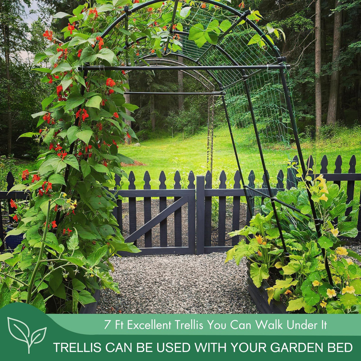 Garden Arch Trellis 7FT Extra Tall Polyethylene-Coated Stainless Steel Garden Trellis for Climbing Plants Outdoor Garden Trellis Arch for Cucumber Trellis, Gardening Trellis with Clips Trellis Netting montresor