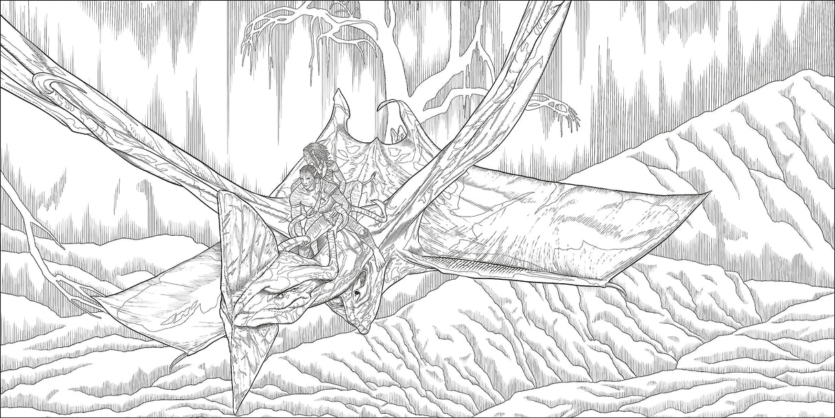 Avatar Coloring Book DK