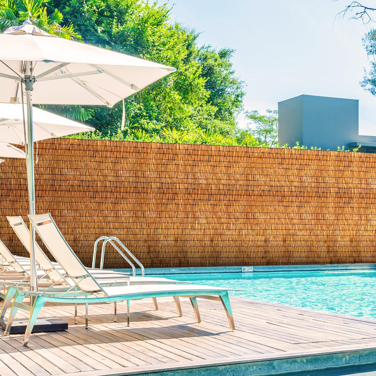 Natural Reed Fencing Rolls,6FT X 16.4FT Reed Screen Curtain Fence Covering Privacy Bamboo for Outdoor Backyard Patio Garden Decorative Fence (Brown) Tgzwme