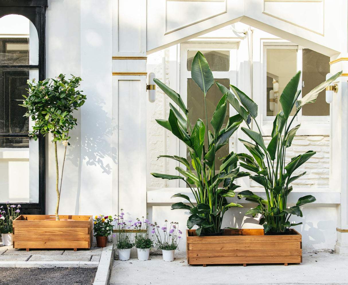 ScienGarden Wooden Raised Garden Bed Planter Box – Fir Wood Outdoor Vegetable, Herb & Flower Box with Drainage Holes – 47.24"x15.75"x12.6", Rot-Resistant, for Patio, Yard, Balcony ScienGarden