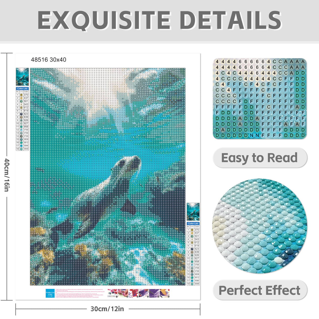 GVYGVY Diamond Art Kits for Adults, Cute Ocean Seal 5d DIY Full Drill Diamond Painting Kits for Adults Beginners, Diamond Painting Art Craft Kits for Adults, Wall Home Decor(No Frame) 12x16 Inch GVYGVY