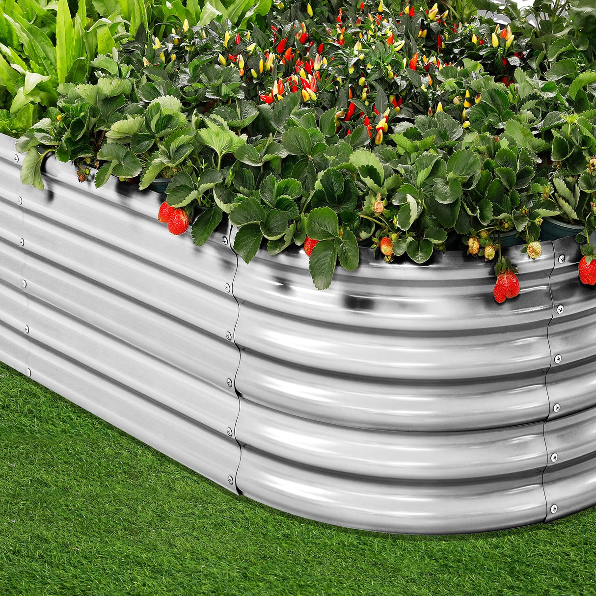 Land Guard 4×2×1.5ft Galvanized Raised Garden Bed Kit, Galvanized Planter Garden Boxes Outdoor, Oval Large Metal Raised Garden Bed for Vegetables……… (Classic Silver Land Guard