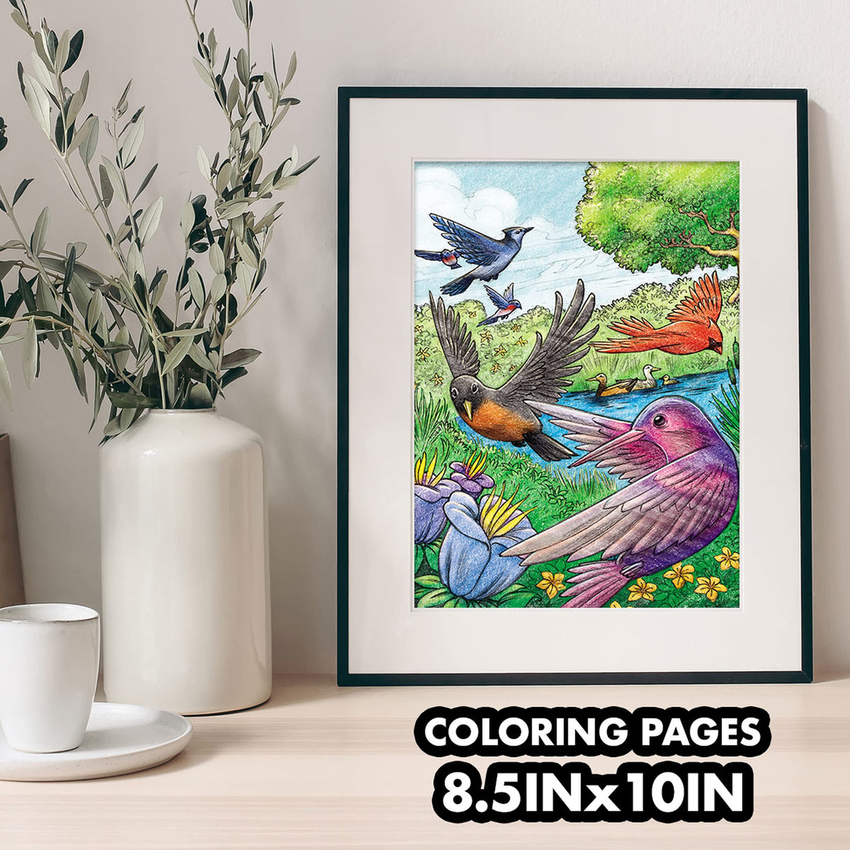 Crayola Bird Coloring Book (40pgs), Adult Coloring Pages, 8.5 x 10, Stress Relieving Coloring, Mindfulness Activity for Adults Crayola