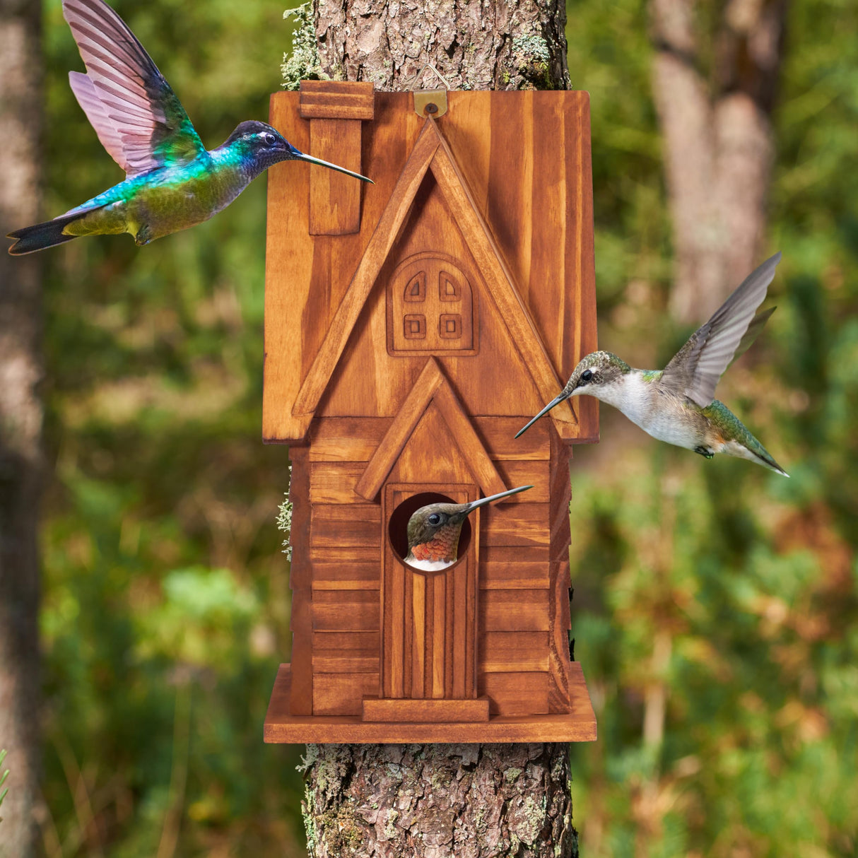MIXUMON Bird Houses for Outside, Outdoor 2 Bird House Room for 2 Bird Families Bluebird Finch Cardinals Hanging Birdhouse for Garden (Style 11) MIXUMON