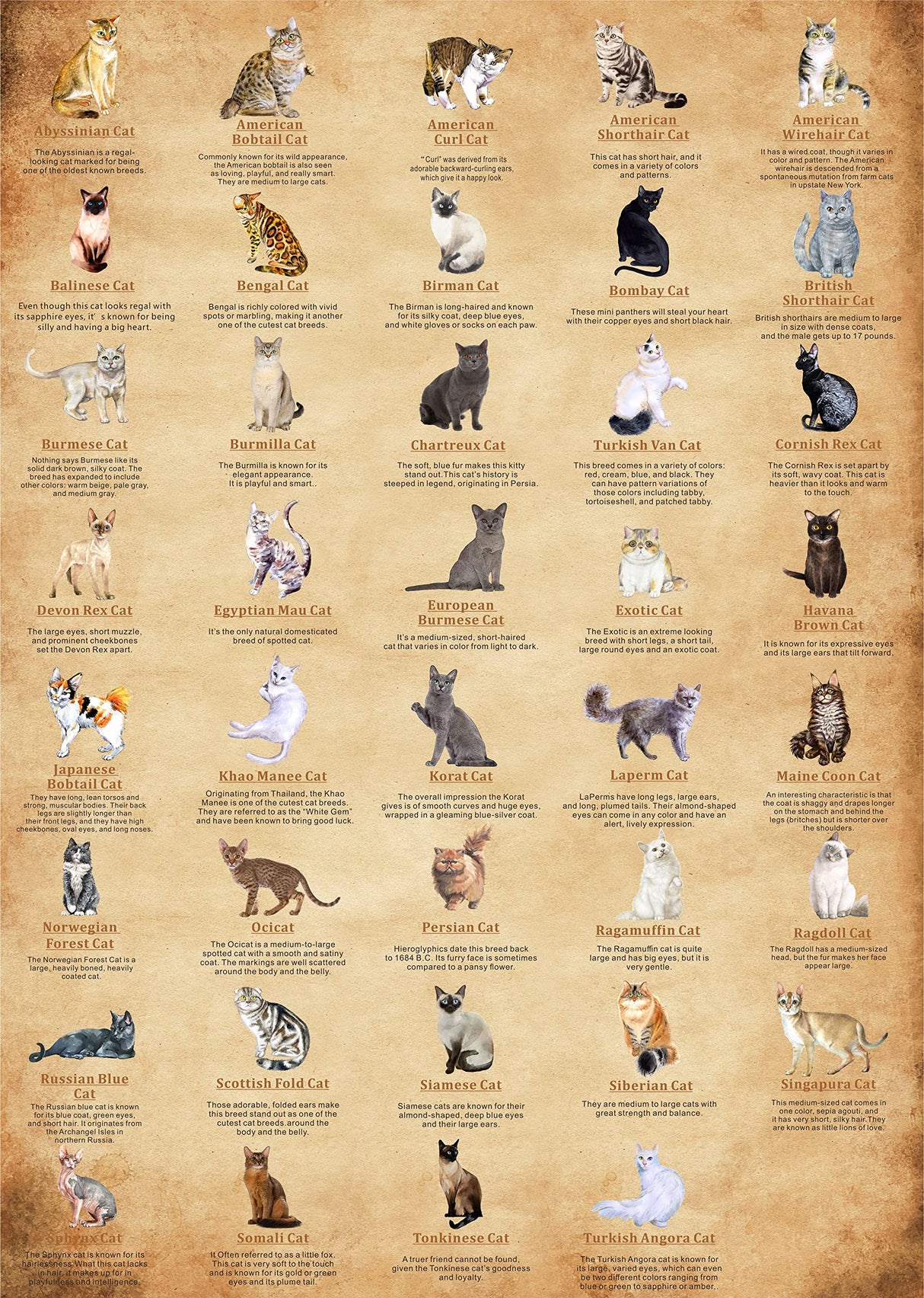 Cat Puzzles for Adults 1000 Pieces and Up,Vintage Kitty Puzzles for Adults, Animal Feline Jigsaw Puzzle Kittens PICKFORU