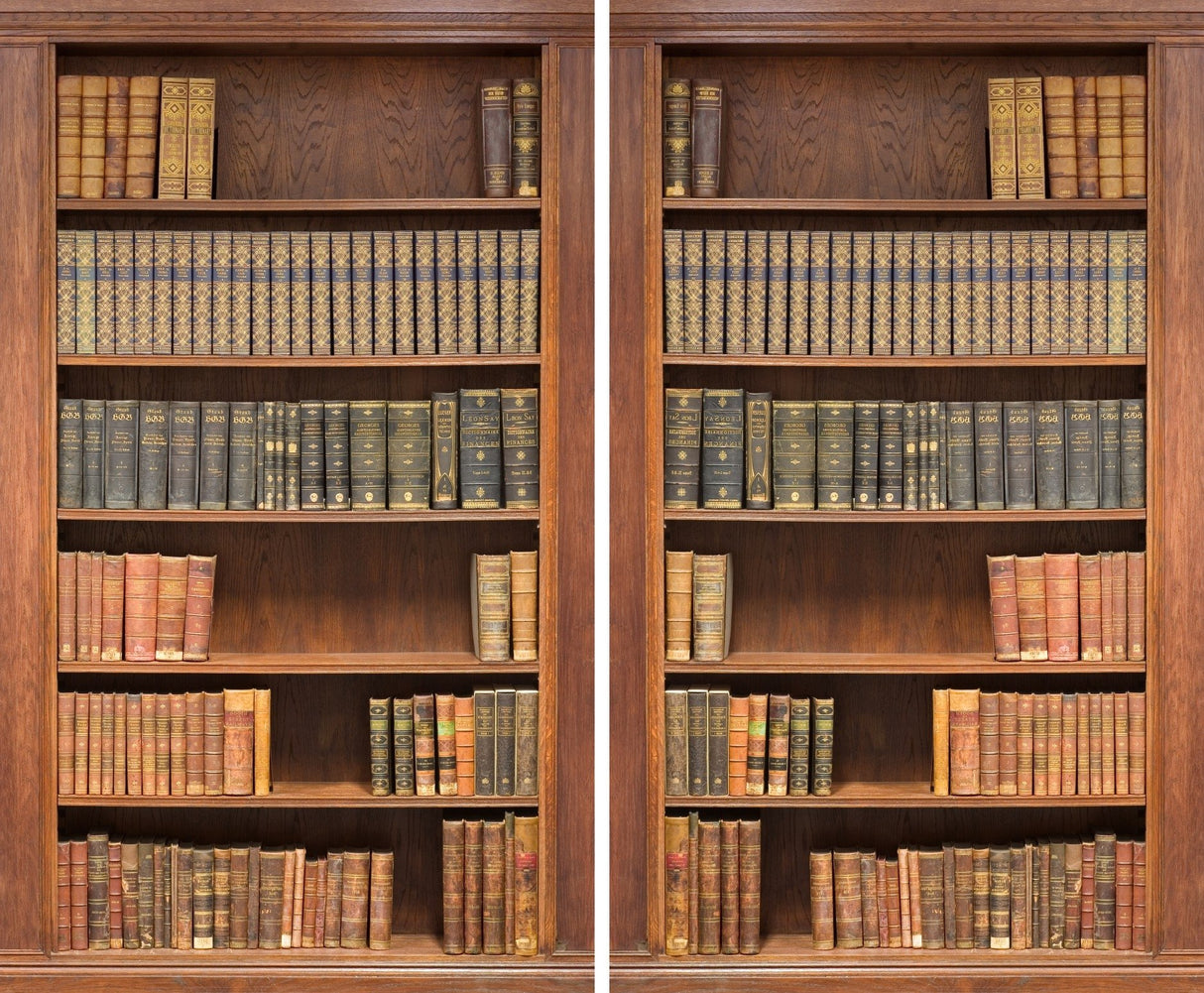 Factory4me Brown Curtains Bookshelf Library Themed Bookcase, Light Brown and Blue Curtains with Books Shelf Printed Literature Design Window Set of 2 84 Inch Panels for Living Room Bedroom Kitchen Factory4me