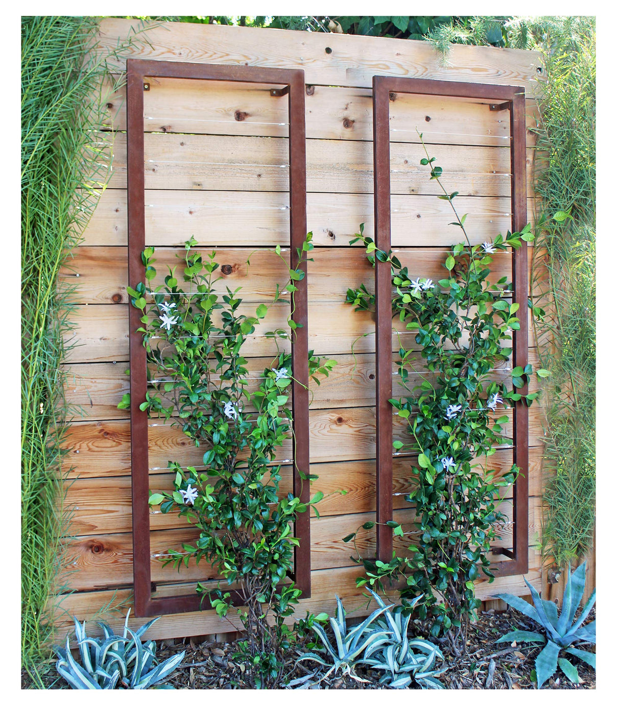 TERRA TRELLIS Ina Modern Wall Trellis for Outdoor Plants | Garden and Home Climbing Vines Wall Trellis | Modern, Steel & Durable | Large (Oxide) Terra Trellis