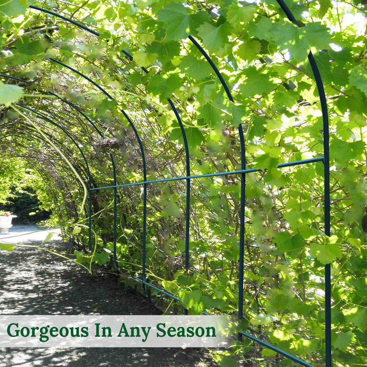 Multi-Size Large Garden Support Arch Frame Climbing Plant Arch Arbor for Flowers/Fruits/Vegetables (6.5ft x 7ft x 7.2ft) BenefitUSA