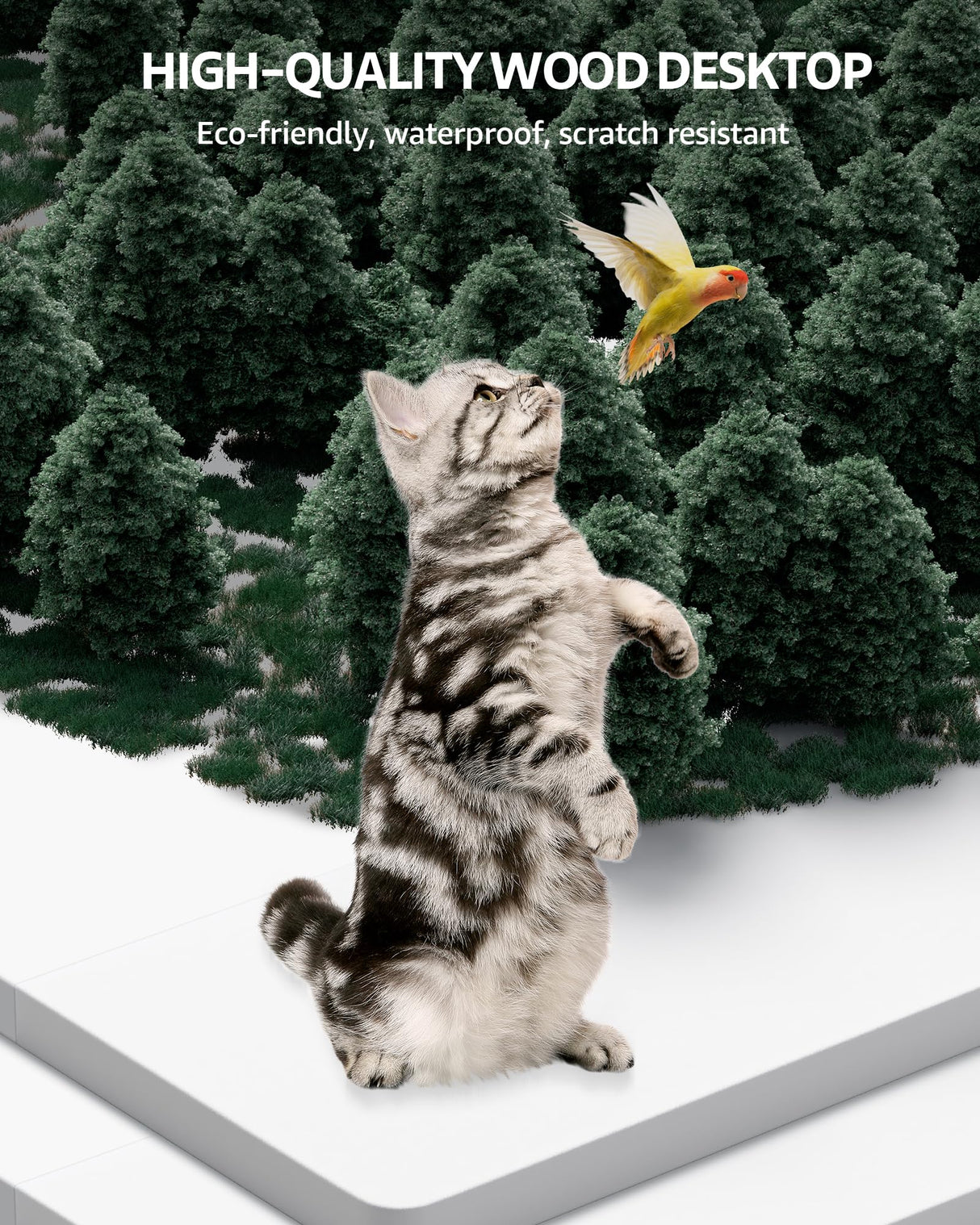 SIAGO Electric Standing Desk Adjustable - 48 x 24 Inch Sit Stand up Desk with Cable Management - 3 Memory Preset Adjustable Height Desk Computer Home Office Desk SIAGO