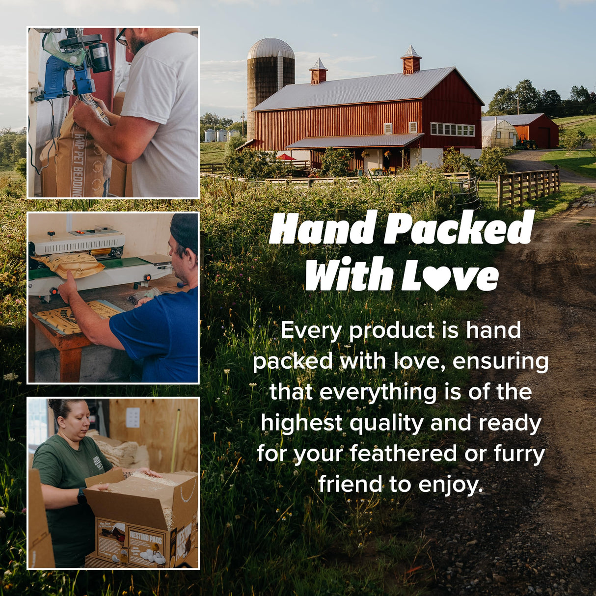 Eaton Pet and Pasture, Premium Laying Hen Nesting Pads, USA Grown & Sustainably Harvested, 13 x 13 (10 Pack) Eaton Pet and Pasture