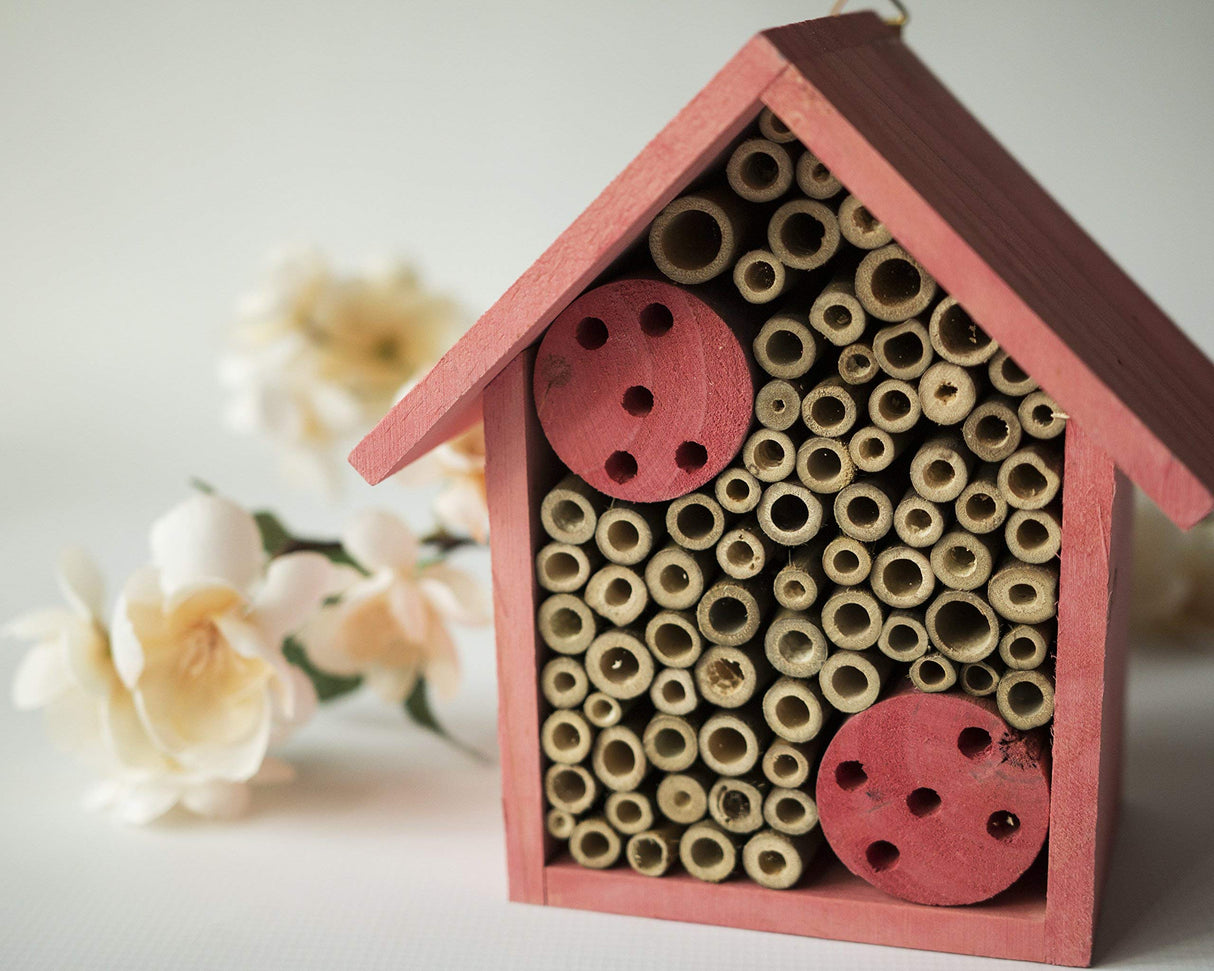 Cestari Mason Bee Housse for The Garden β Rose Pink Handmade Wooden Solitary Bee Hotel with Hanging Design for Pollinators β Eco-Friendly Nesting Shelter Cestari