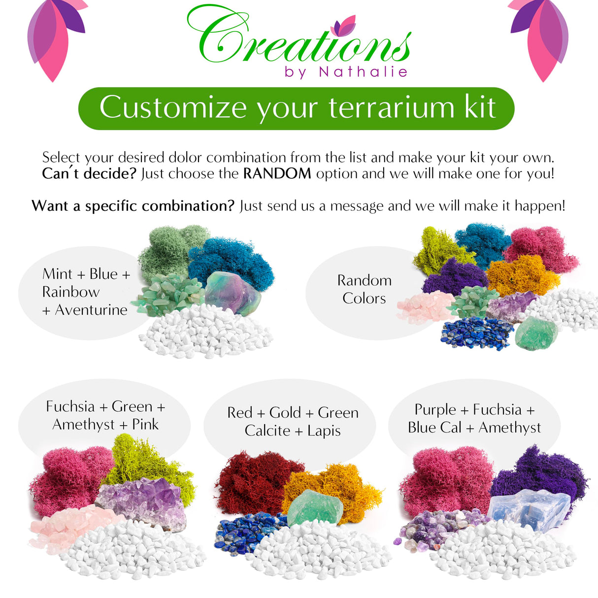 Creations by Nathalie - Plant Terrarium Kit W/Live Succulent (Fresh from Florida), Choose Your Glass DIY Terrarium Starter Kit for Adults, Metal Stand, Reindeer Moss, Crystal & Rocks, Tools, Figurine Creations by Nathalie