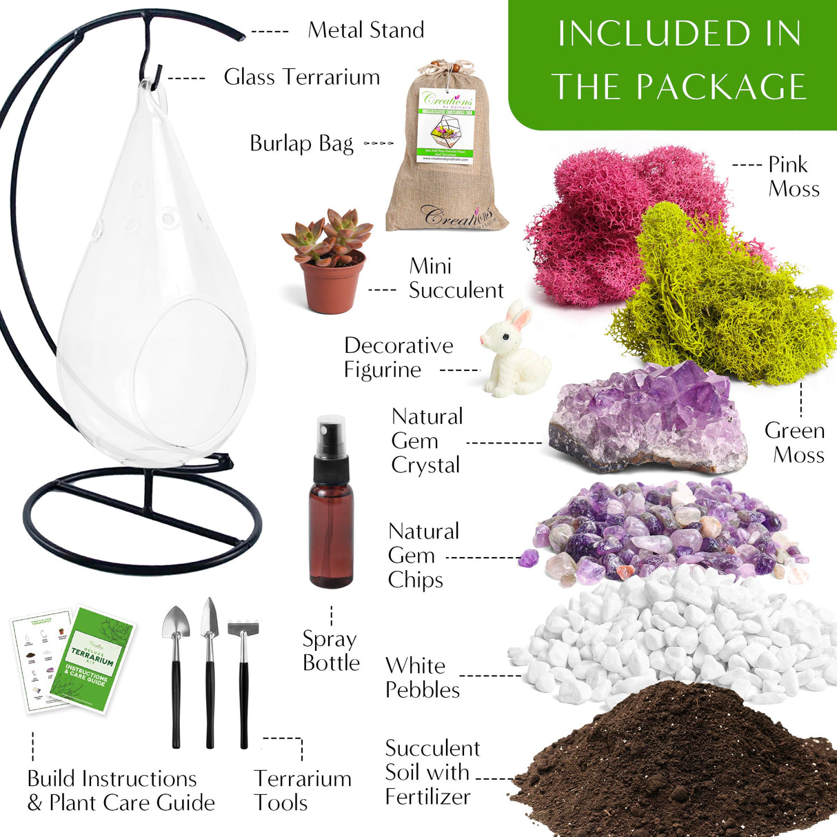 Creations by Nathalie - Plant Terrarium Kit W/Live Succulent (Fresh from Florida), Choose Your Glass DIY Terrarium Starter Kit for Adults, Metal Stand, Reindeer Moss, Crystal & Rocks, Tools, Figurine Creations by Nathalie