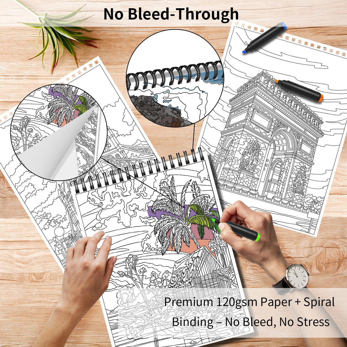 Kalysky Landscapes Adult Coloring Book Set of 3 – Complex Nature Landscapes & Iconic Architecture | Desert, Ocean Forests, Modern Wonders | Coloring Books for Adults Relaxation (8.25” x 11”) Kalysky