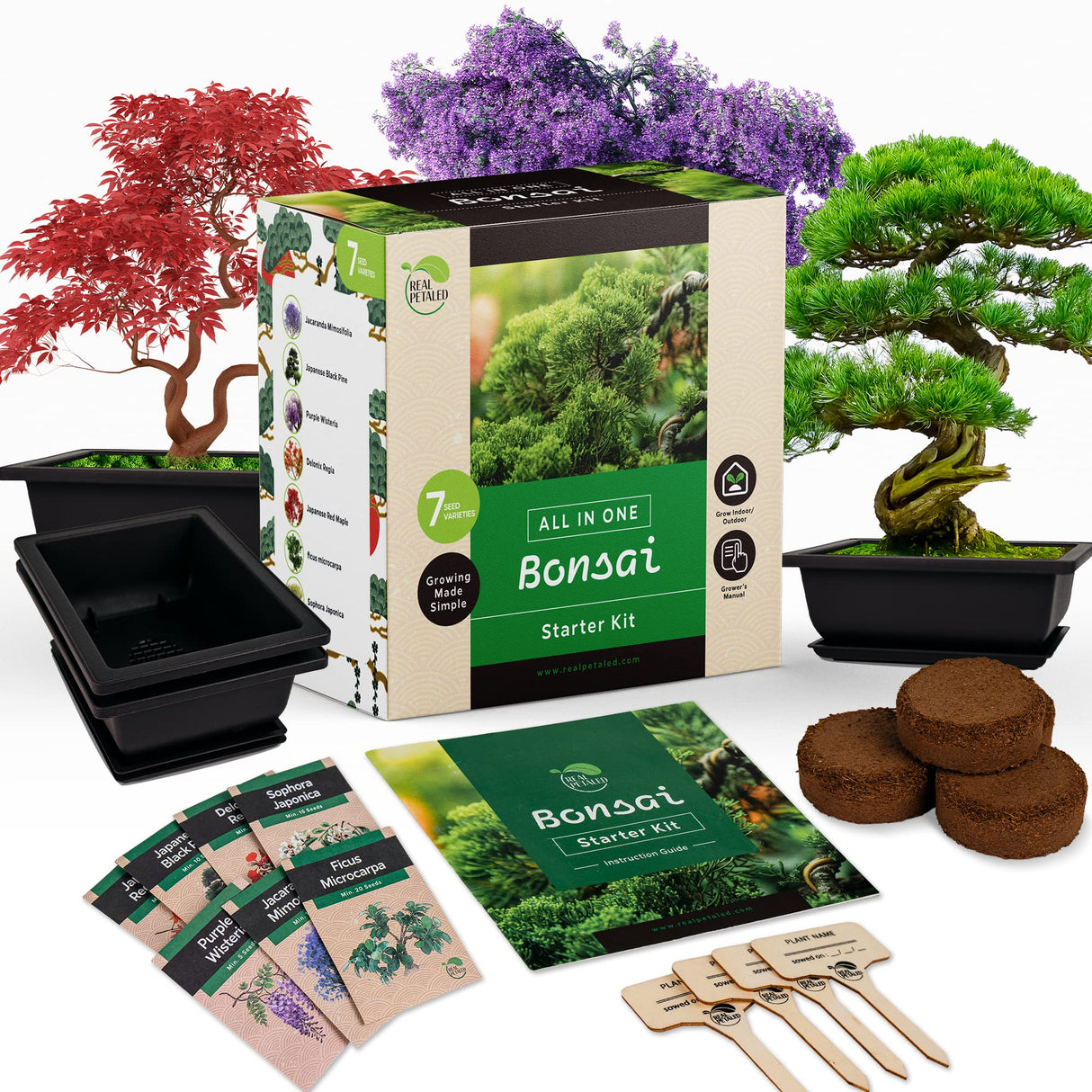 REALPETALED Bonsai Starter Kit – Japanese Bonsai Tree Kit with Bonsai Tools, 7 Bonsai Tree Seeds, Pots – Complete Grow Your Own Bonsai Tree Live Kit – Plant Lover Gifts Home Gifts for Men and Women REALPETALED