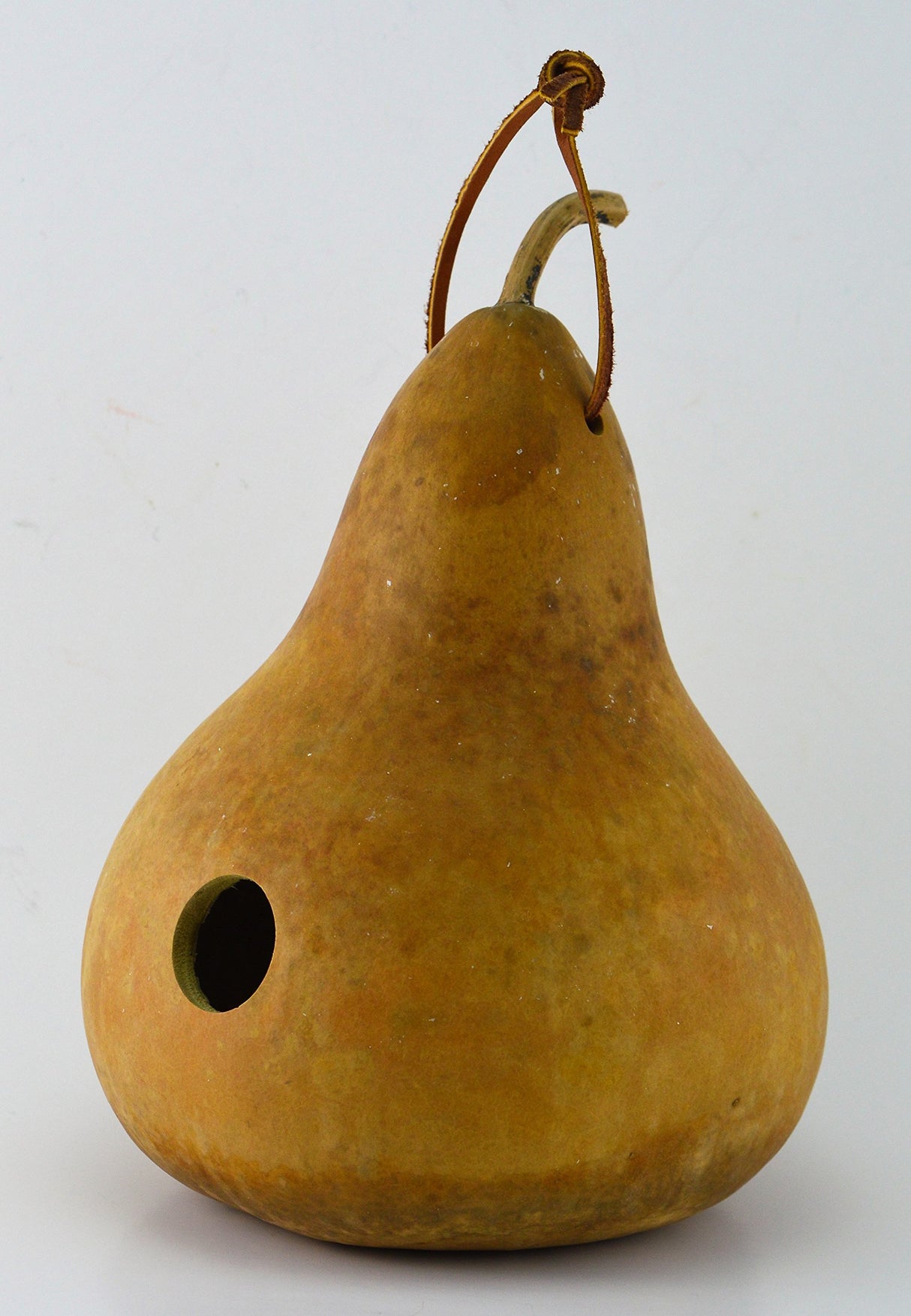 Gourd Birdhouse, Unfinished, Craft Ready, Box of 3 Gourdaments