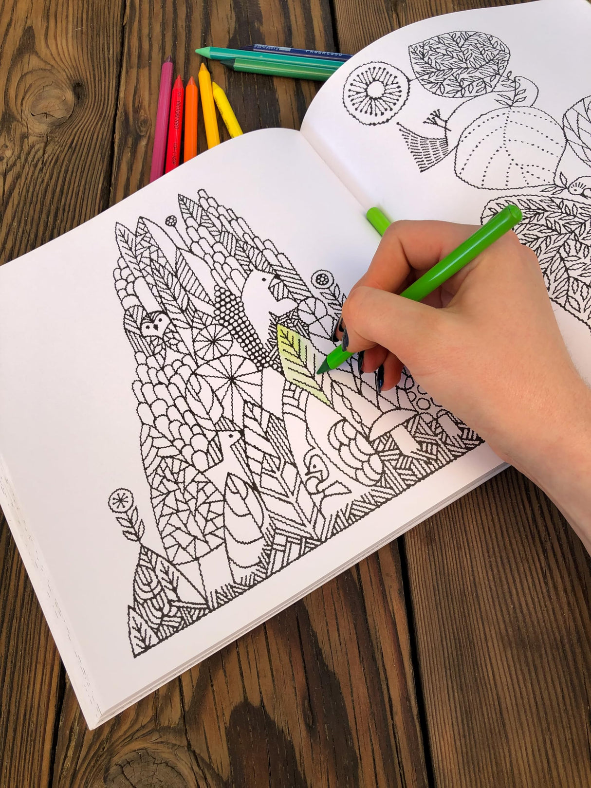 Woodland Kingdom Coloring Book: 65+ Whimsical Designs for Creativity & Relaxation (Coloring Art)