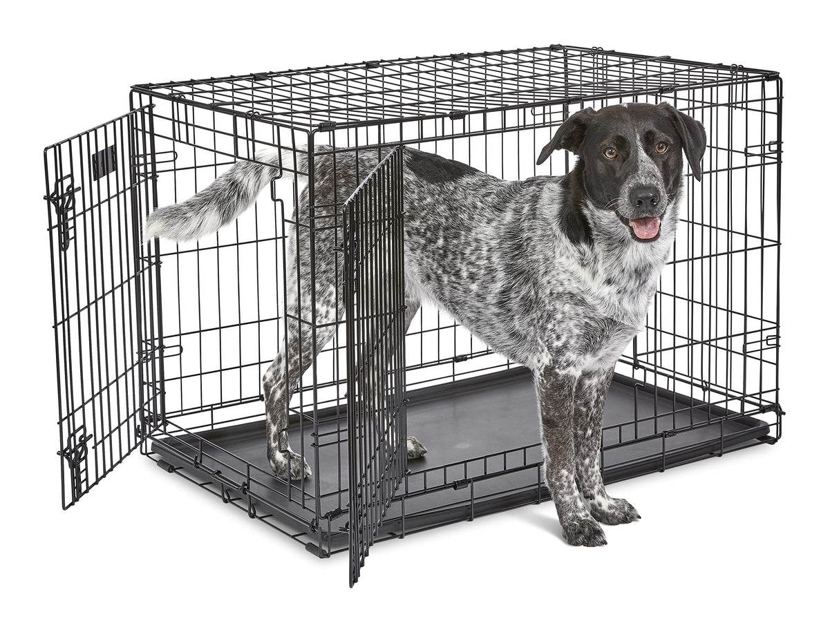 MidWest Homes for Pets Newly Enhanced Double Door iCrate Dog Crate, Includes Leak-Proof Pan, Floor Protecting Feet, Divider Panel & New Patented Features MidWest Homes for Pets