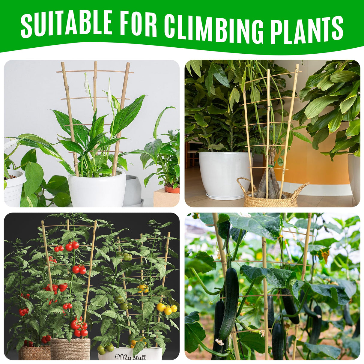 SWANGSA 6 Pack Bamboo Trellis 24 Inches for Climbing Plants, Fan-Shaped Bamboo Plant Trellis Cucumber Tomato Trellis with 50pcs Twist Ties for Outdoor and Indoor Potted Plants SWANGSA