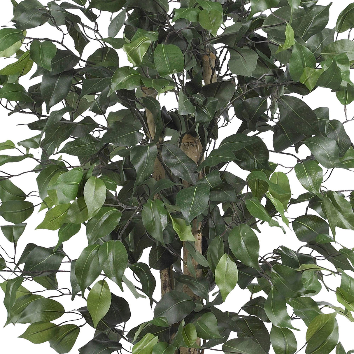 Nearly Natural 5299 Ficus Silk Tree, 4-Feet(48 in), Green Nearly Natural
