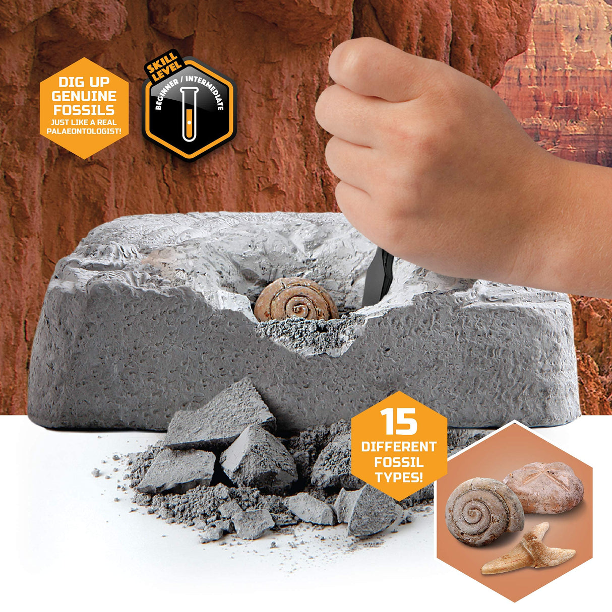Discovery™ Colossal Fossil Dig Set, 15-Piece Archeology Excavation Kit, Uncover Real Shark Teeth & More, Every Fossil Set is Unique, STEM Toys for Boys and Girls Discovery Kids