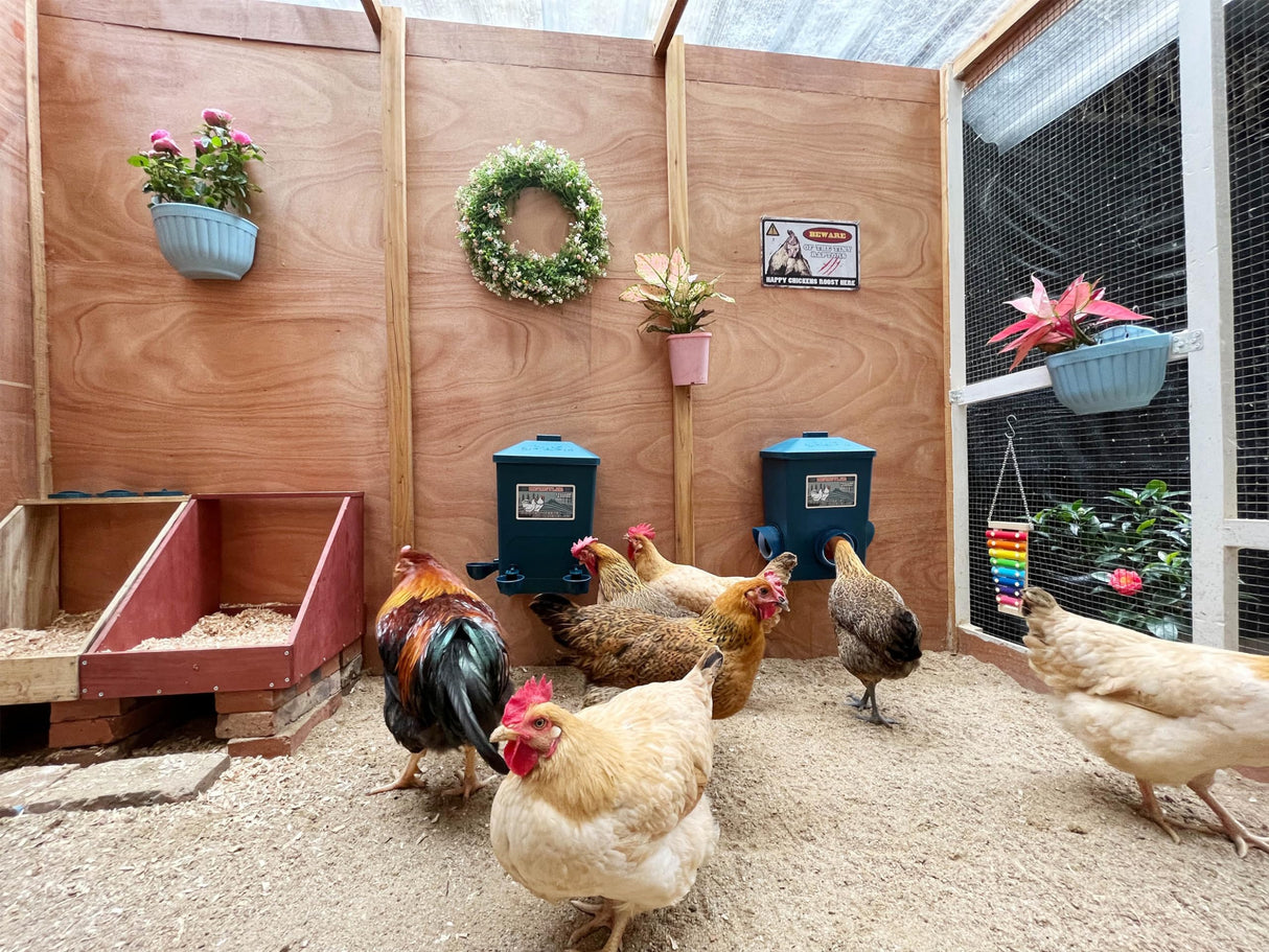 ZINZINULER Automatic Port Chicken Feeder and Cup Waterer Set - Chicken Coop Accessories, No Waste Poultry Feeder, 3 Gallon/16 Pounds ZINZINULER