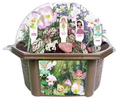 Toys by Nature Fanciful Fairy Biosphere Terrarium Starter Kit, Complete Supplies Included to Create Your Own Enchanting Garden and Indoor Plants! (Fanciful Fairy Garden)