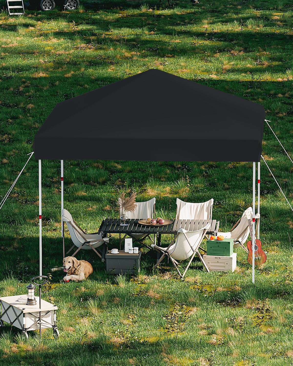 10x10 Pop Up Canopy with Humanization One Button Push Setup - Heavy Duty Outdoor Canopy Tent with Portable Roller Bag - 3 Adjustable Height, 4 Weight Bags, 8 Stakes & 4 Guy Ropes Included, Black GarveeLife