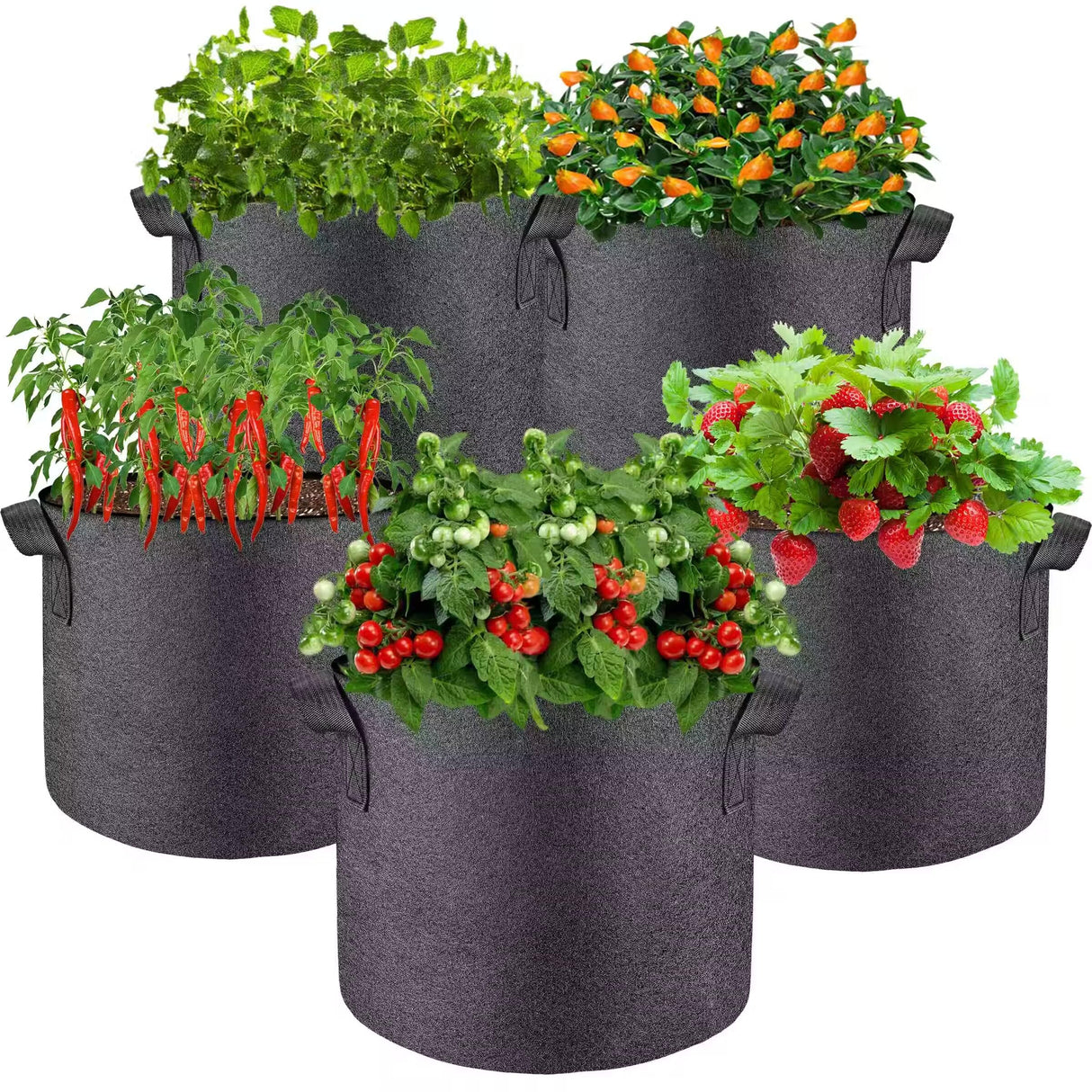 lucdnc 5 Pcs Grow Bags 5 Gallon Plant Grow Bags Multi-Purpose Nonwoven Fabric Pots with Durable Handles,Outdoor Garden Plant Pots for Vegetables Fruits Flowers Herb Succulent Bonsai Plants lucdnc