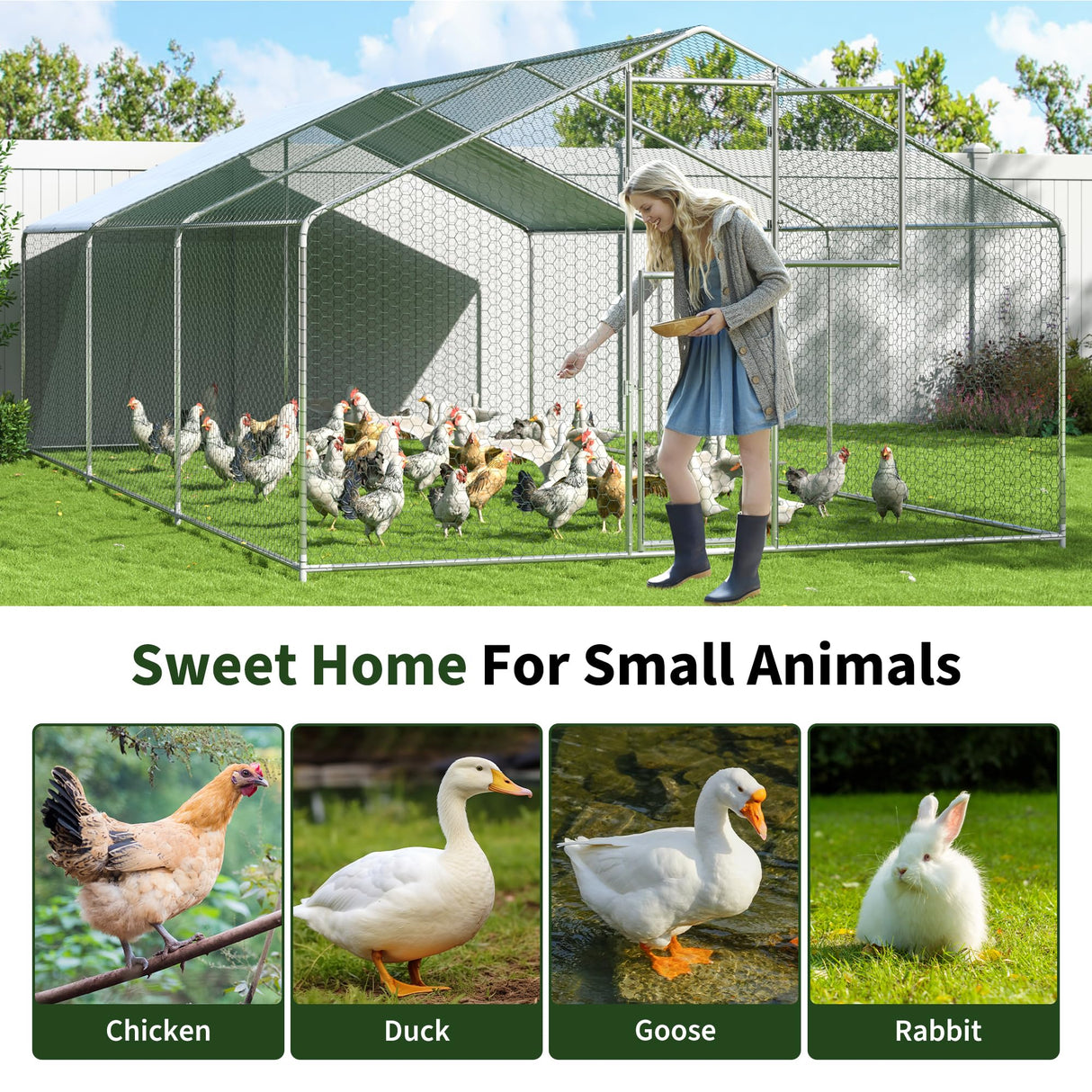 DAKITO Chicken Coop,Large Metal Chicken Run Pen,Walk in Chicken Coops for 6/10 Chickens,Double Door Chicken House with Waterproof & Anti-UV Cover for Backyard. (19.7x9.8x6.4 FT) DAKITO