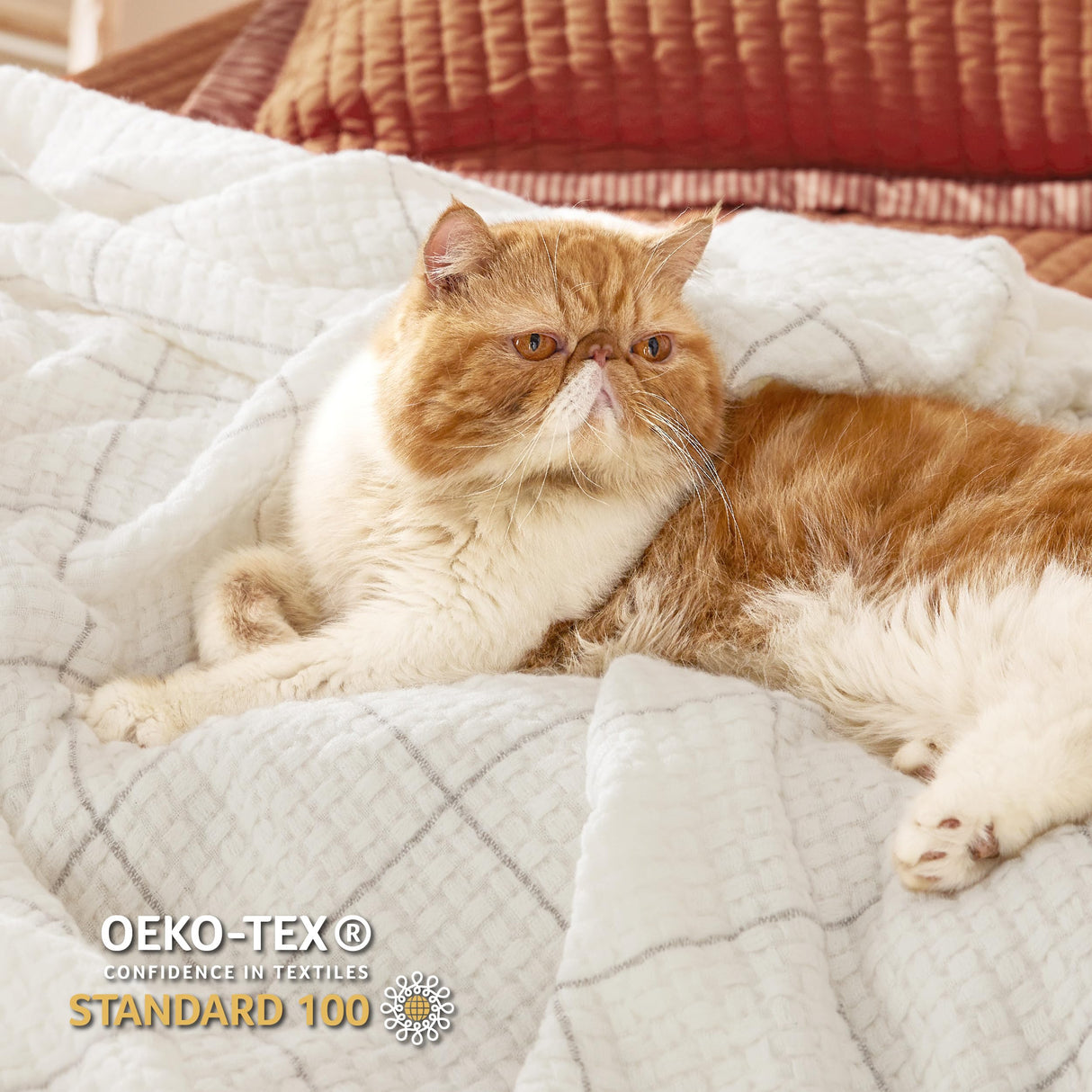 Bedsure Cream Throw Blanket for Bed - White Decorative Woven Throw Gifts with Tassels, Soft and Lightweight Farmhouse Blankets for Couch and Sofa, 50x60 Inches Bedsure