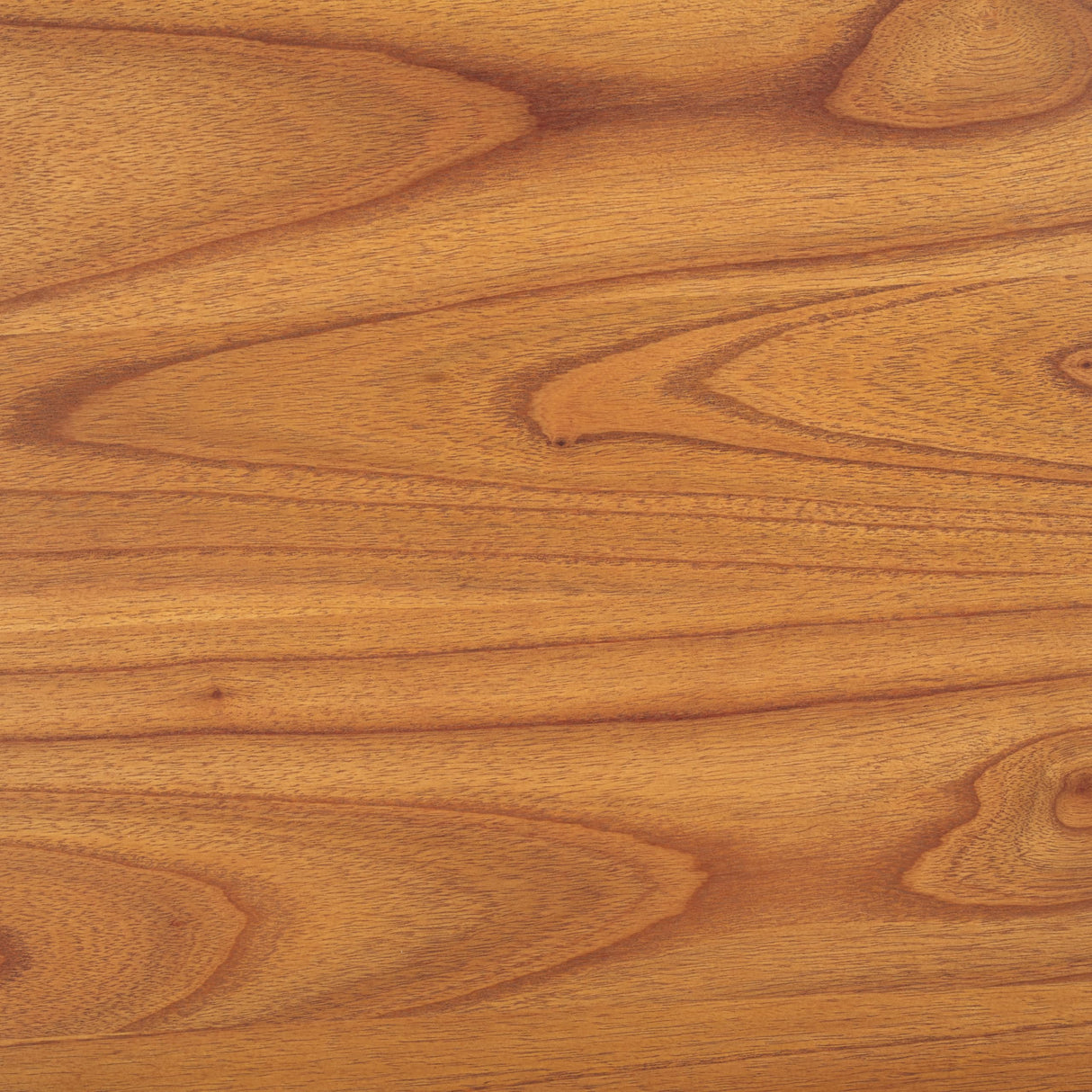 SAFAVIEH Couture Collection Leonardi Natural Brown Oval Coffee Table