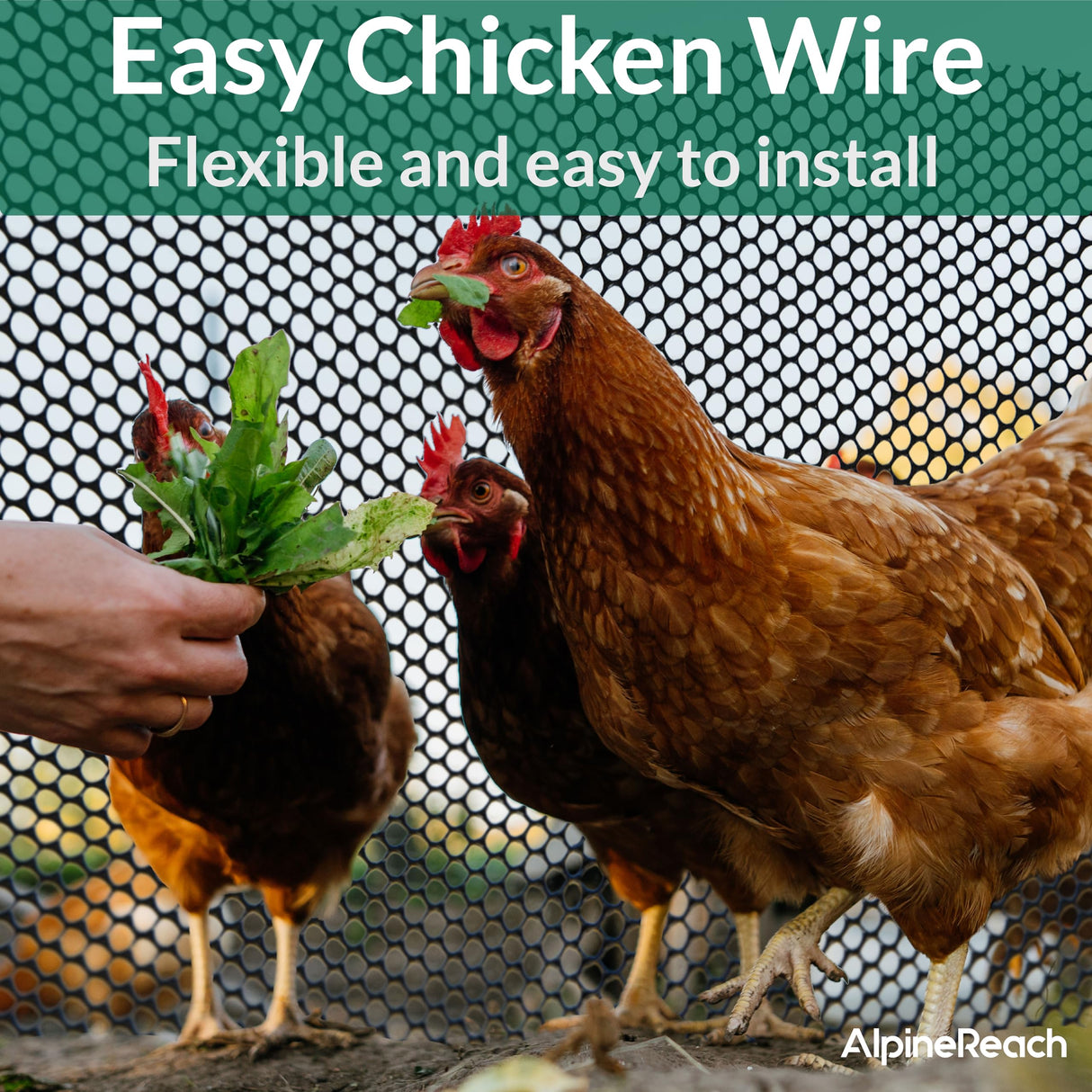 AlpineReach Plastic Wire Mesh 1.3ft x 30ft (15.7" x 360") Fence Roll with Zip Ties - Ideal for Poultry, Dogs, Rabbit Barrier & Gardening, Durable Chicken Mesh, Versatile Rigid Fencing & Netting, Black AlpineReach