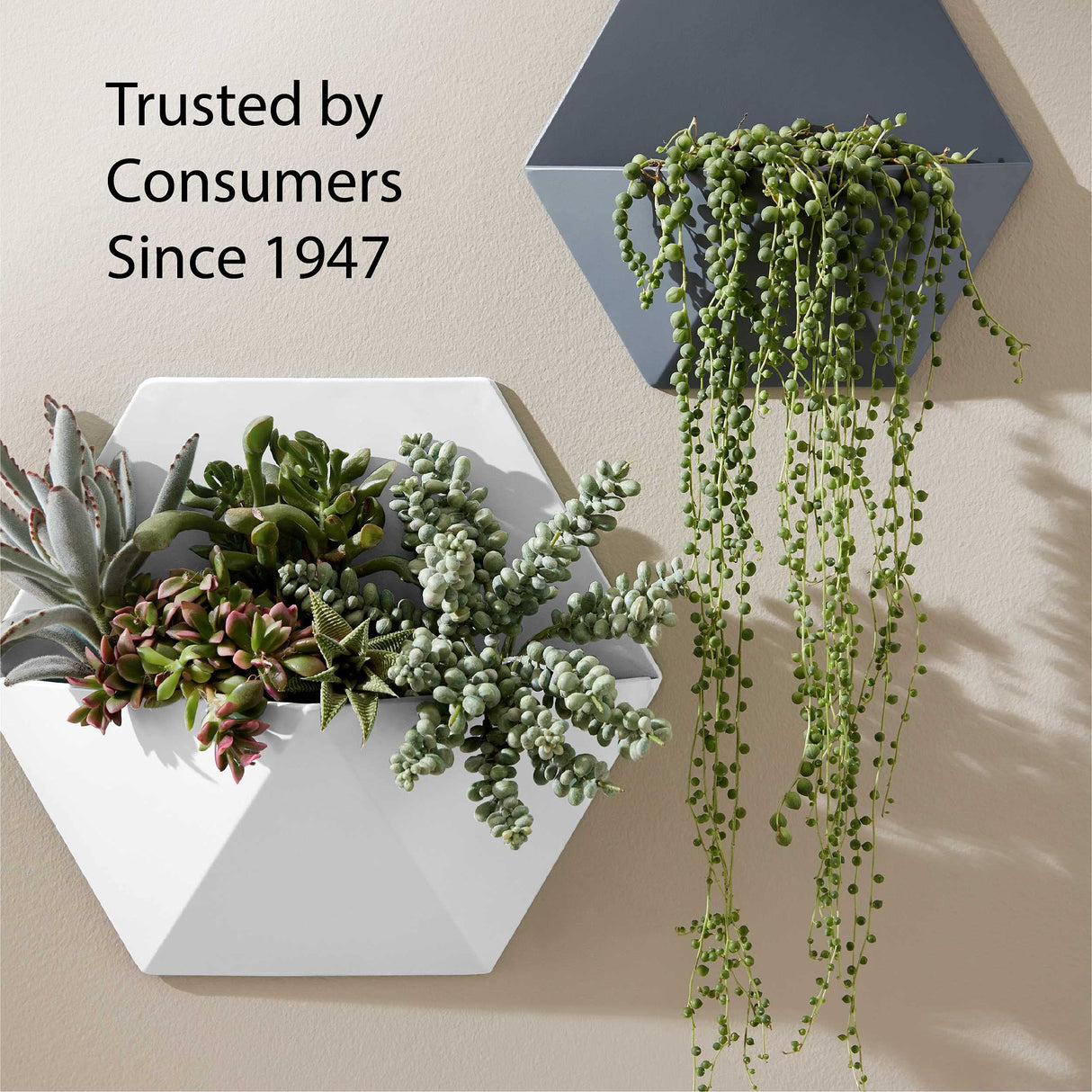 Krylon K05515007 COLORmaxx Acrylic Clear Finish for Indoor/Outdoor Use, Gloss Crystal Clear , 11 Ounce (Pack of 1) Krylon