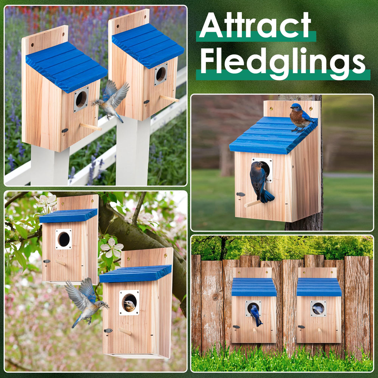 Dreyoo 2 Pack Cedar Bluebird Box Houses for Outside, 1-1/2'' Entrance Hole Wooden Bird Houses with Metal Guard, Secure Latch, Fledgling Grooves, Air Vents for Bluebird Wren Swallow Dreyoo