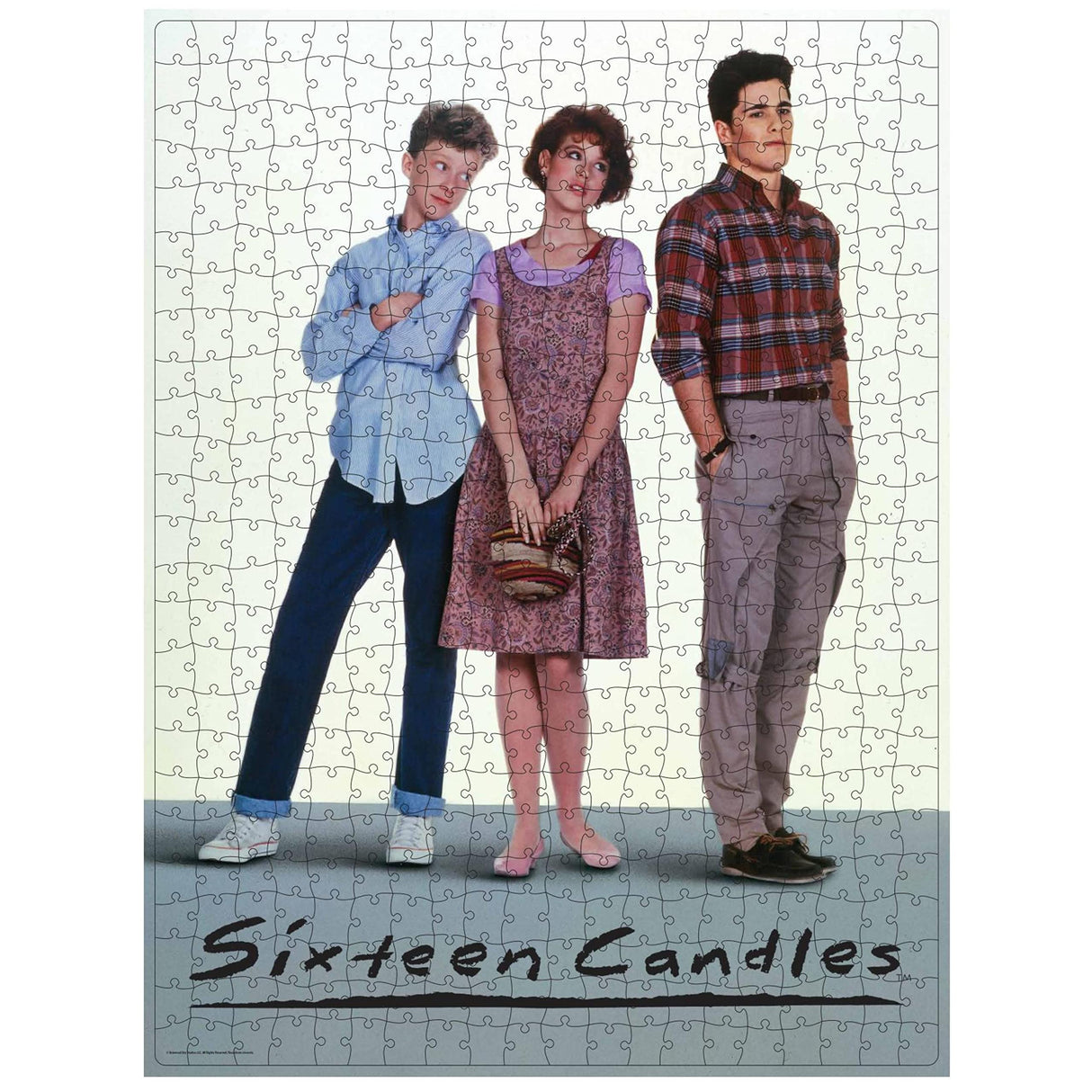 Sixteen Candles Movie 500-Piece Puzzle in Plastic Retro Blockbuster VHS Video Case Spin Master