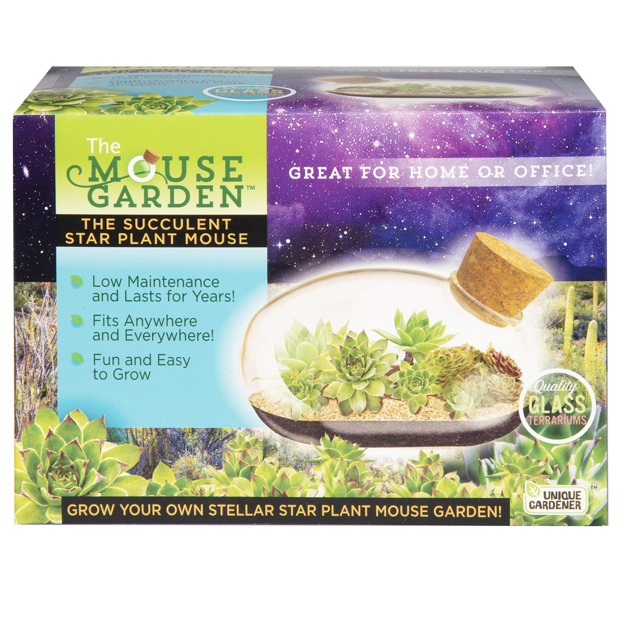 Grow Your Own Succulent Star Plant Mouse with Our Glass Terrarium Starter Kit - Fun and Easy to Grow with Complete Supplies - Plant A Mouse Garden That Will Last for Years - Great for Home Or Office Unique Gardener