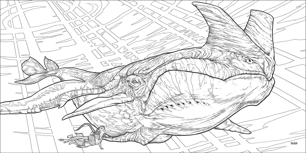 Avatar Coloring Book DK