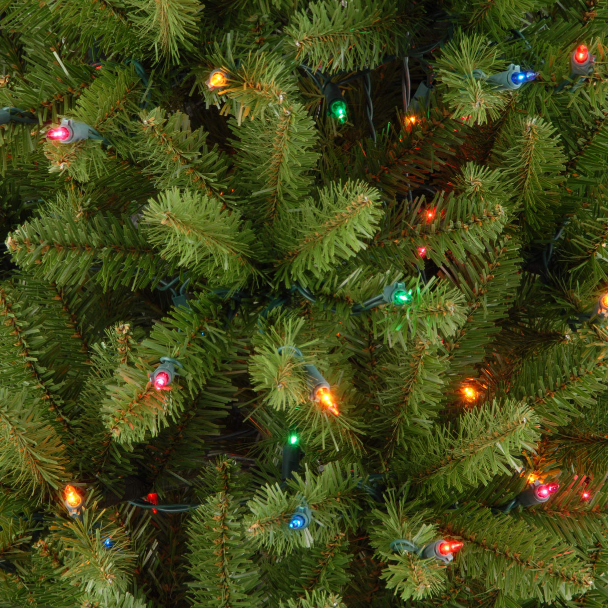 National Tree Company Artificial Pre-Lit Slim Christmas Tree, Green, Kingswood Fir, Multicolor Lights, Includes Stand, 6.5 Feet National Tree Company