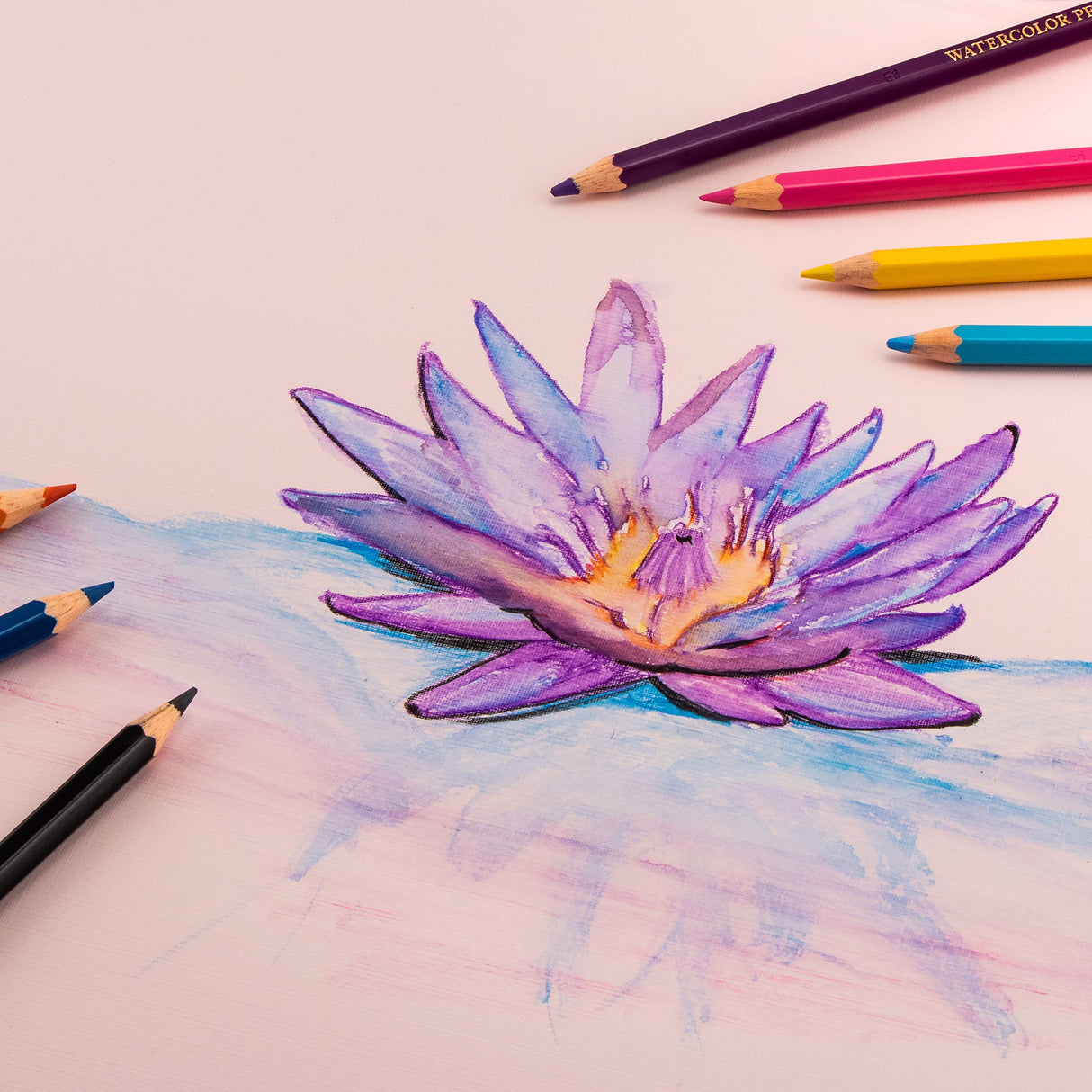 Pentel Arts Watercolor Pencil Set, 12 Color Set (CB9-12) Pentel