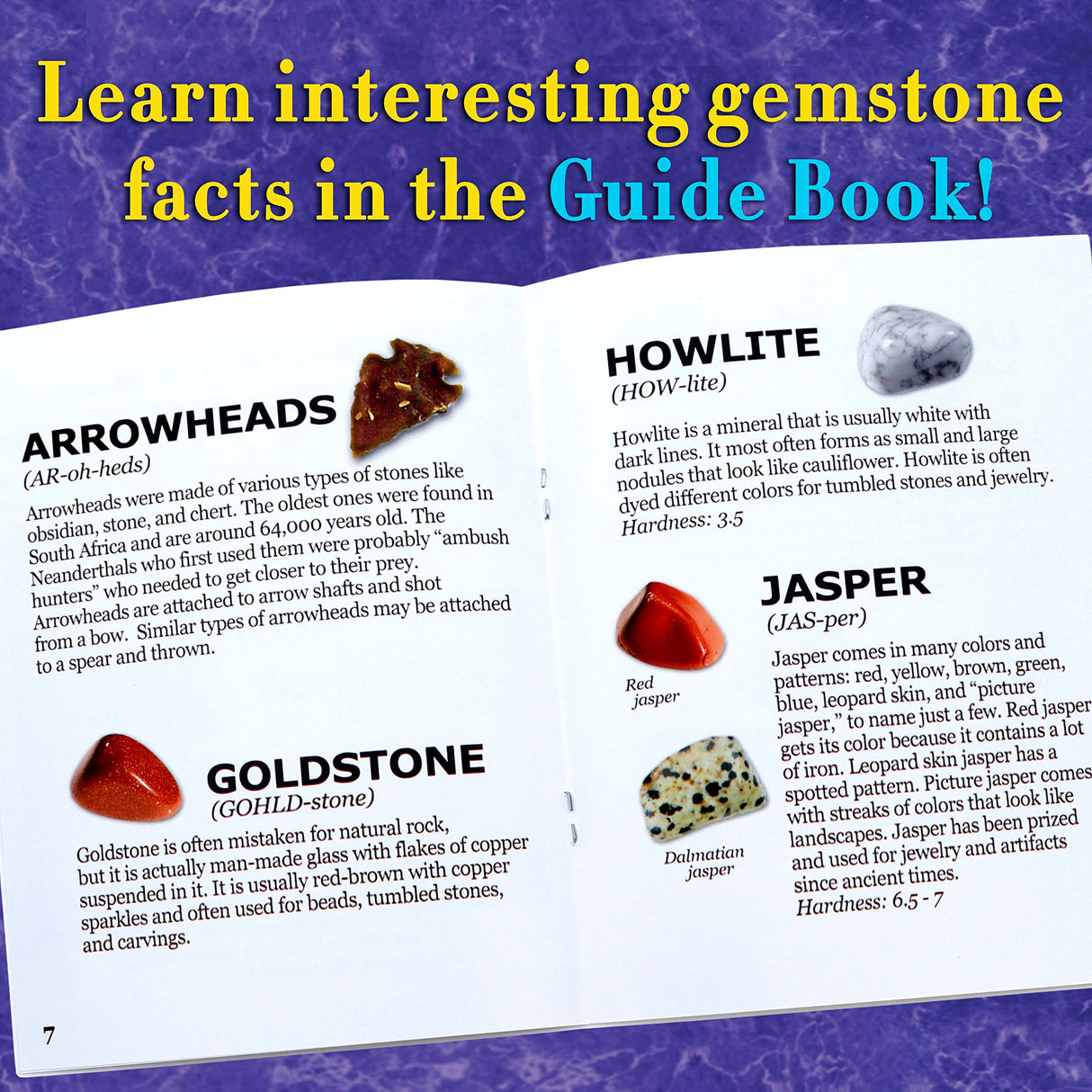DANCING BEAR Gem stone Dig Kit, Excavate 16 Real Gems & Crystals including Arrowheads, Quartz Point and Amethyst, STEM Education for Kids, Fun Rock Mining Science Activity Gift Sets for Girls and Boys DANCING BEAR